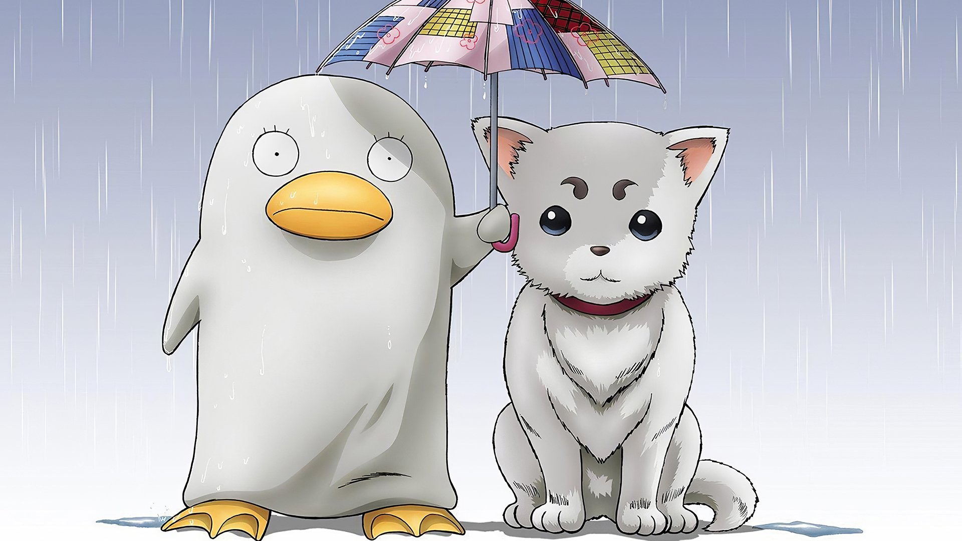 二次元 企鹅 猫咪 雨伞
