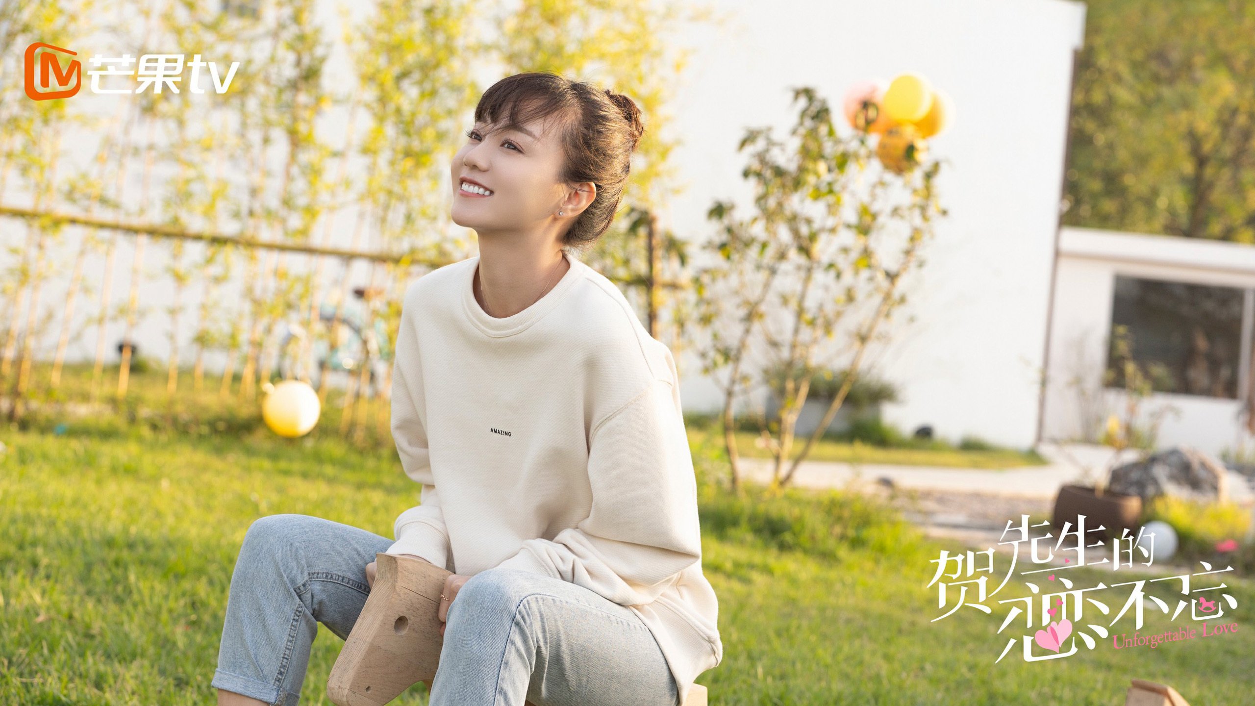 贺先生的恋恋不忘 胡意旋 魏哲鸣