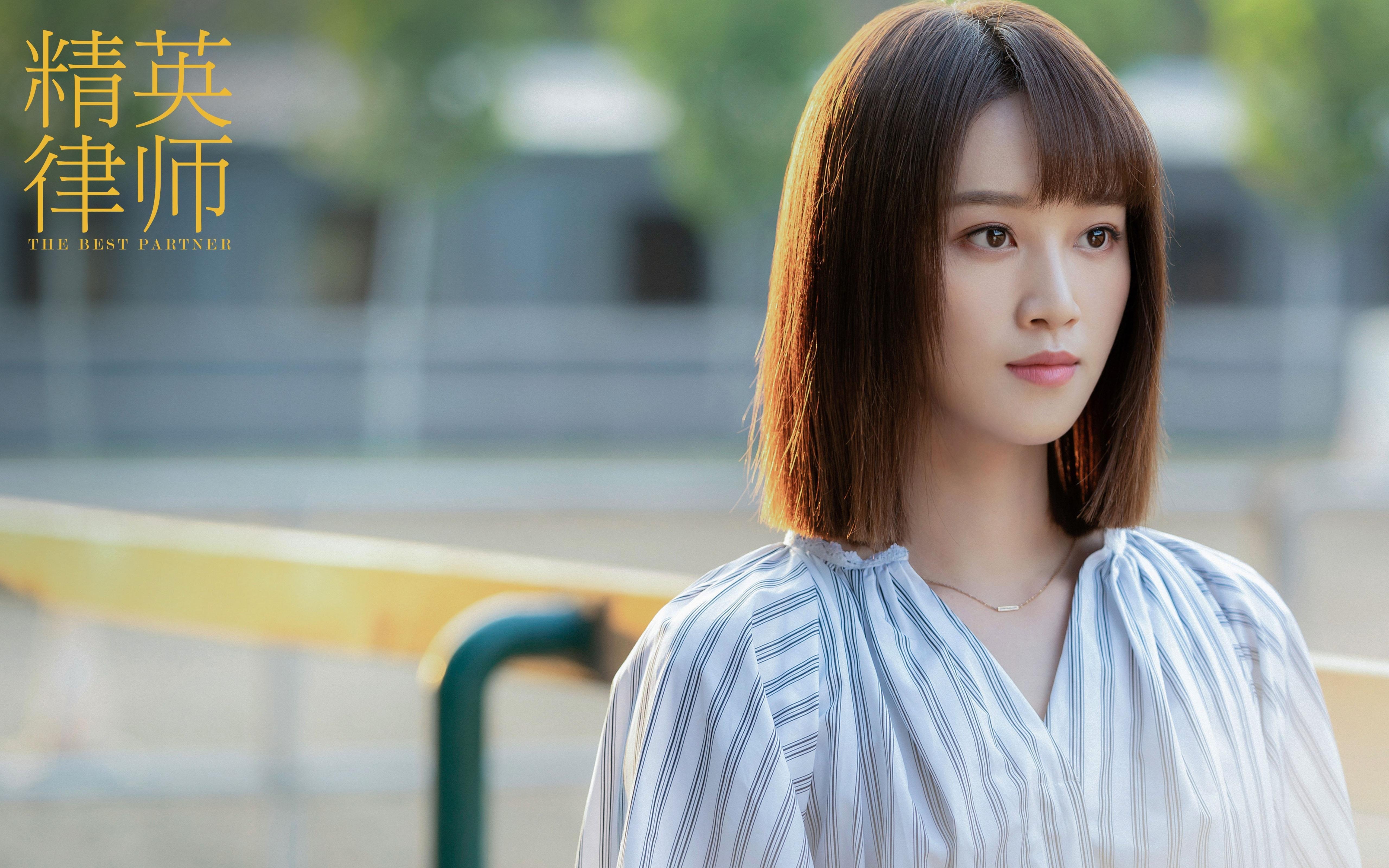 精英律师 靳东 蓝盈莹