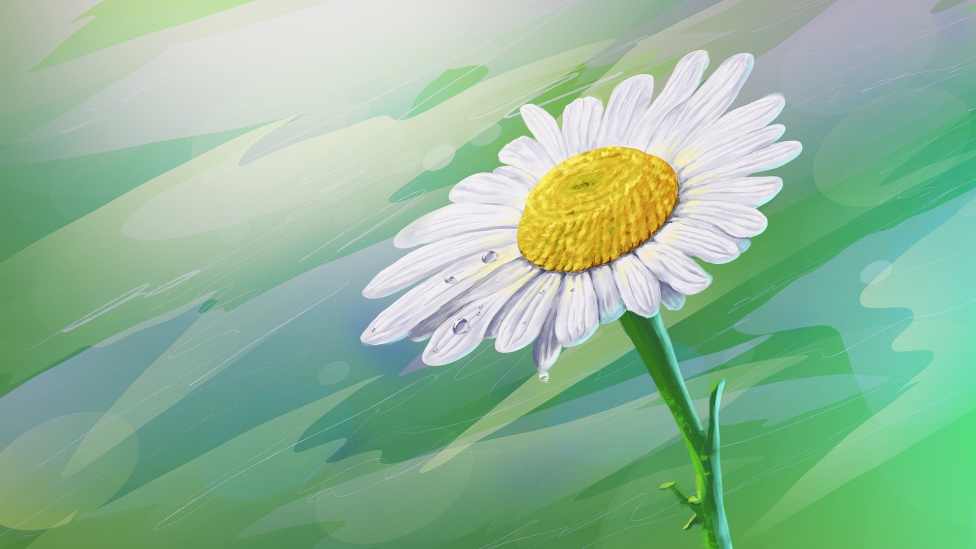 油画 菊花 雏菊