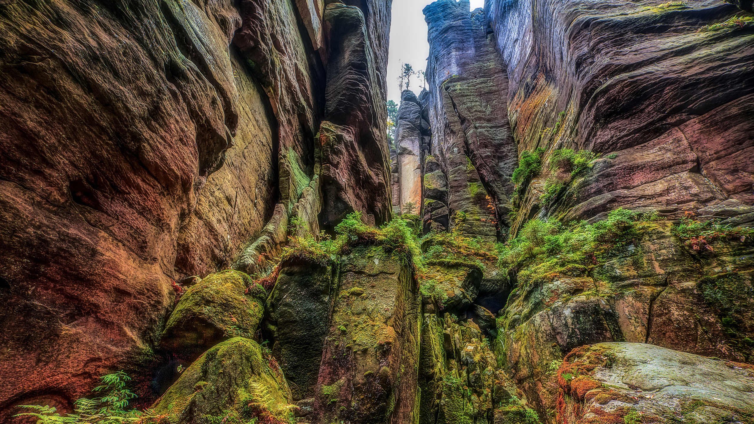 自然风光 山石 青苔 峡谷