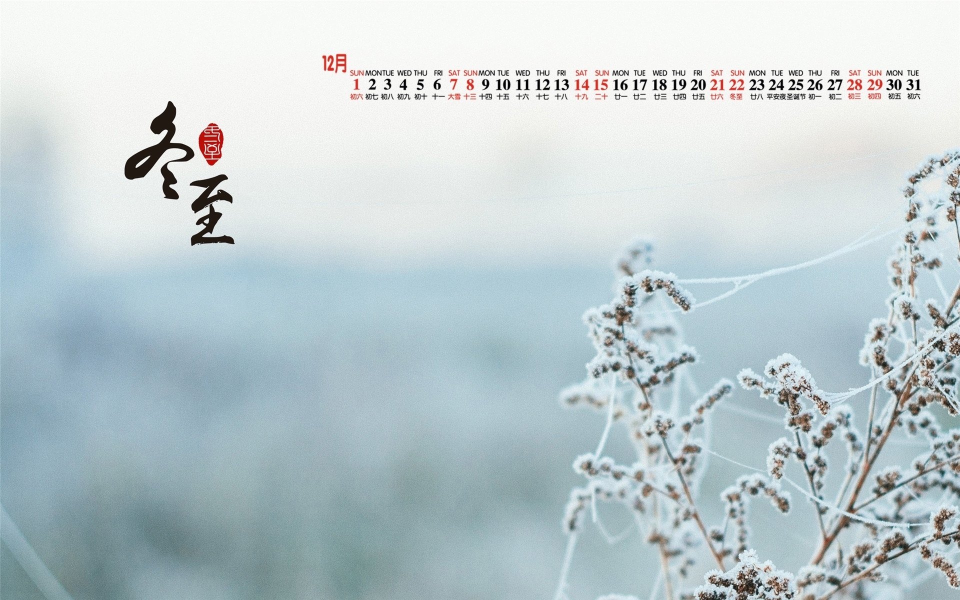 月历 2019年12月 日历