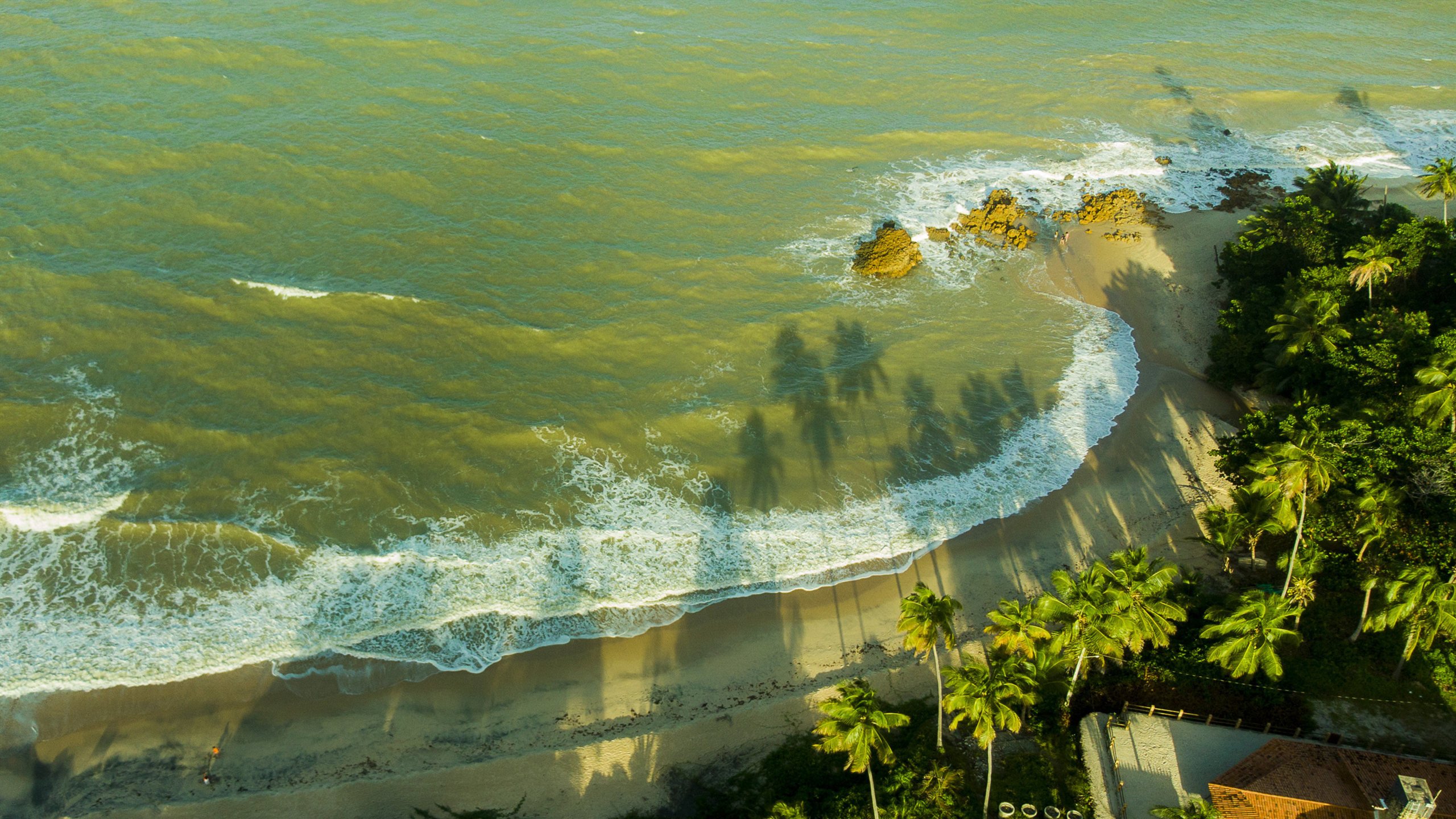 海洋天堂  海浪 沙滩 海滩 椰树 航拍