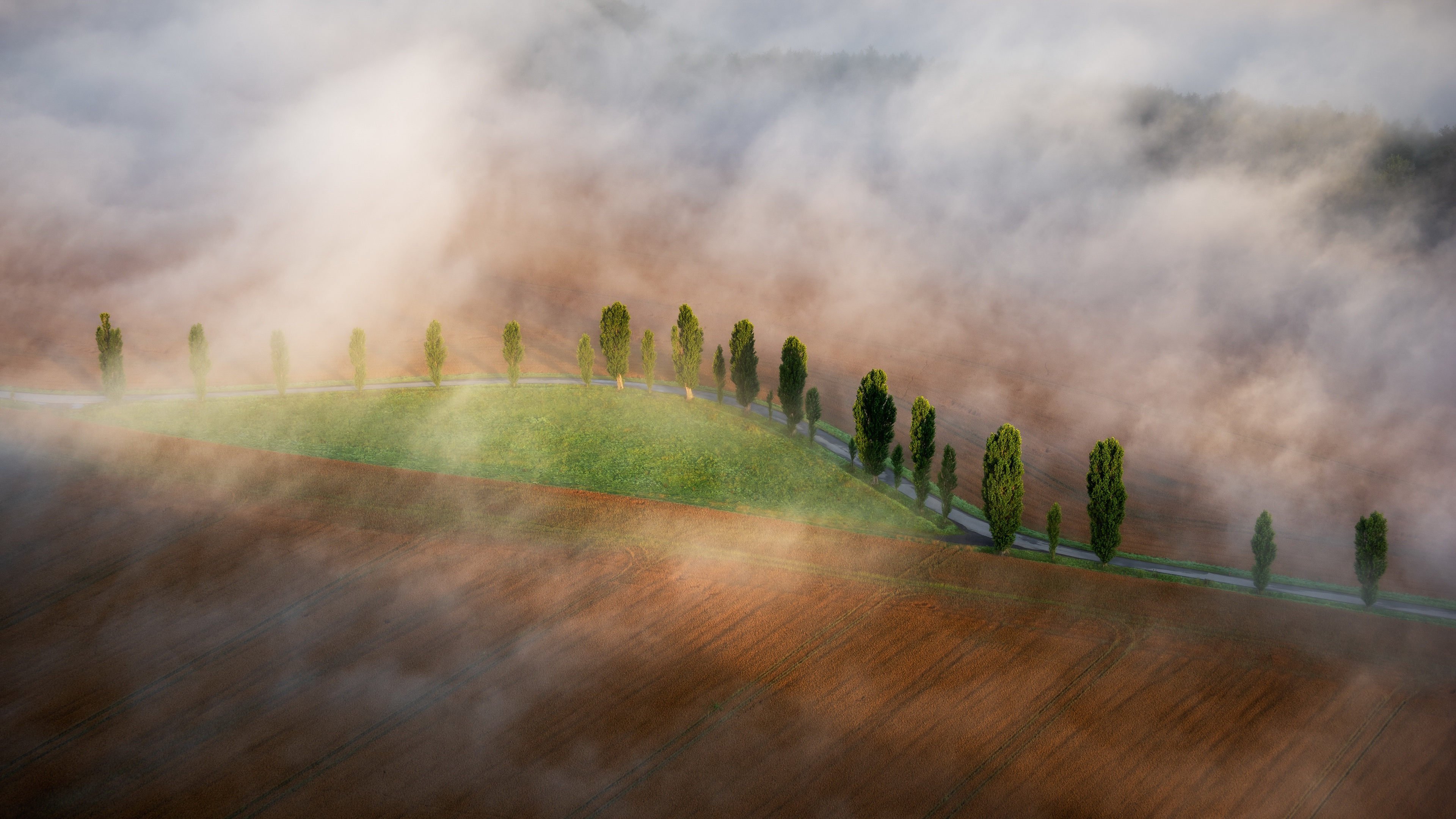 自然风光 迷雾 航拍 公路