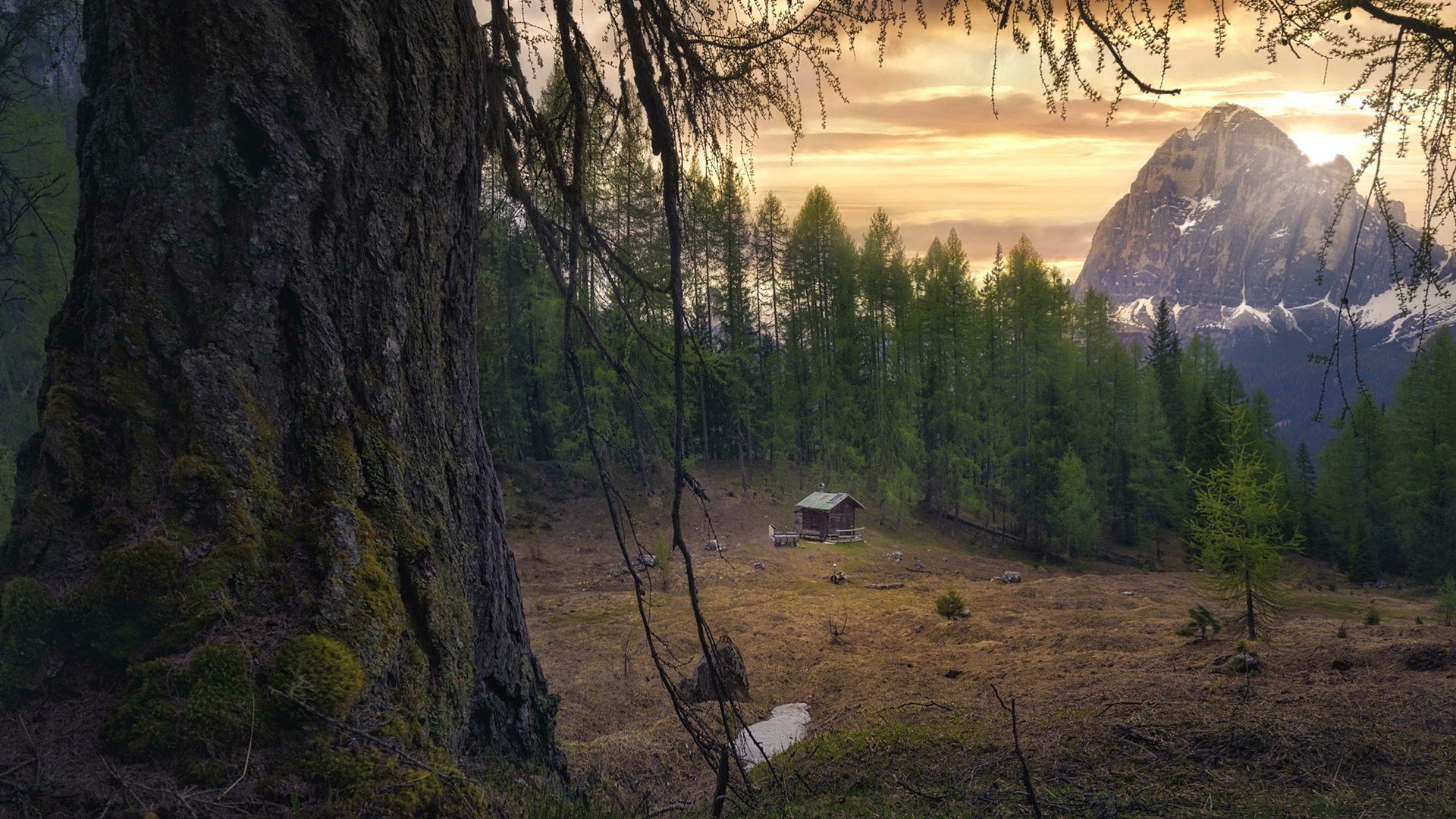 落日余晖 高山 古树 小屋 树林
