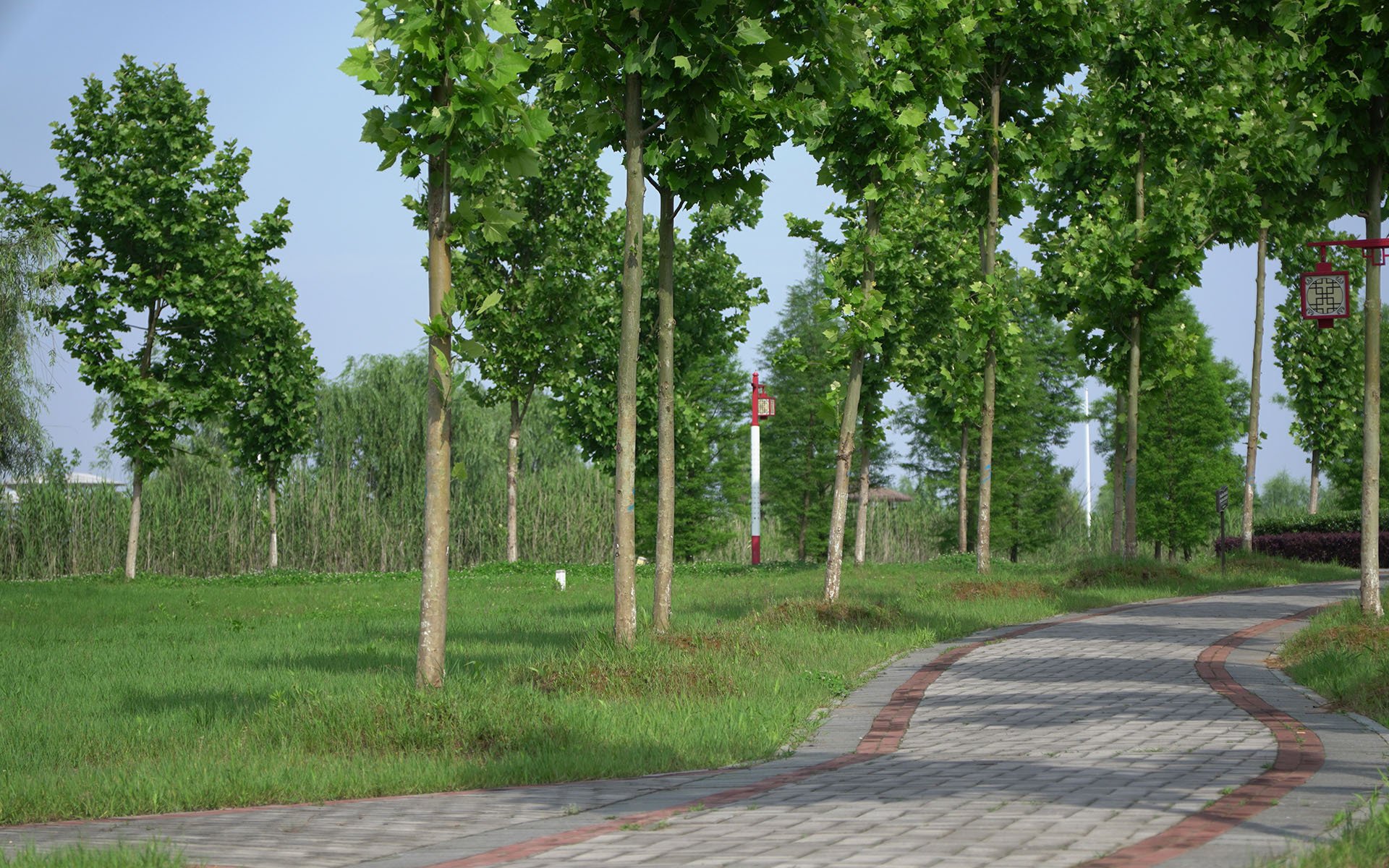 乐乡 学苑  松滋 风景