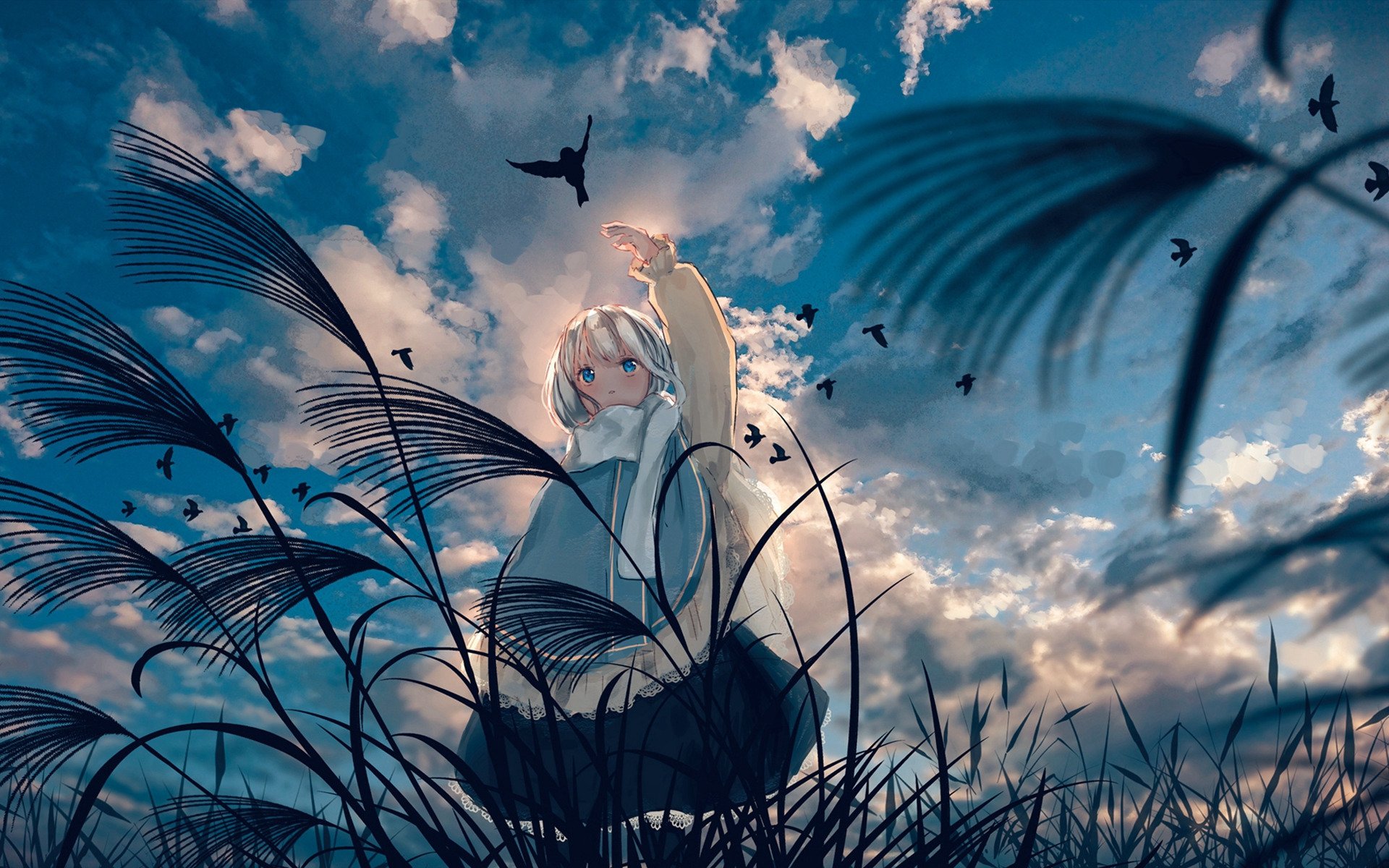 二次元 大风 乌鸦 阴影