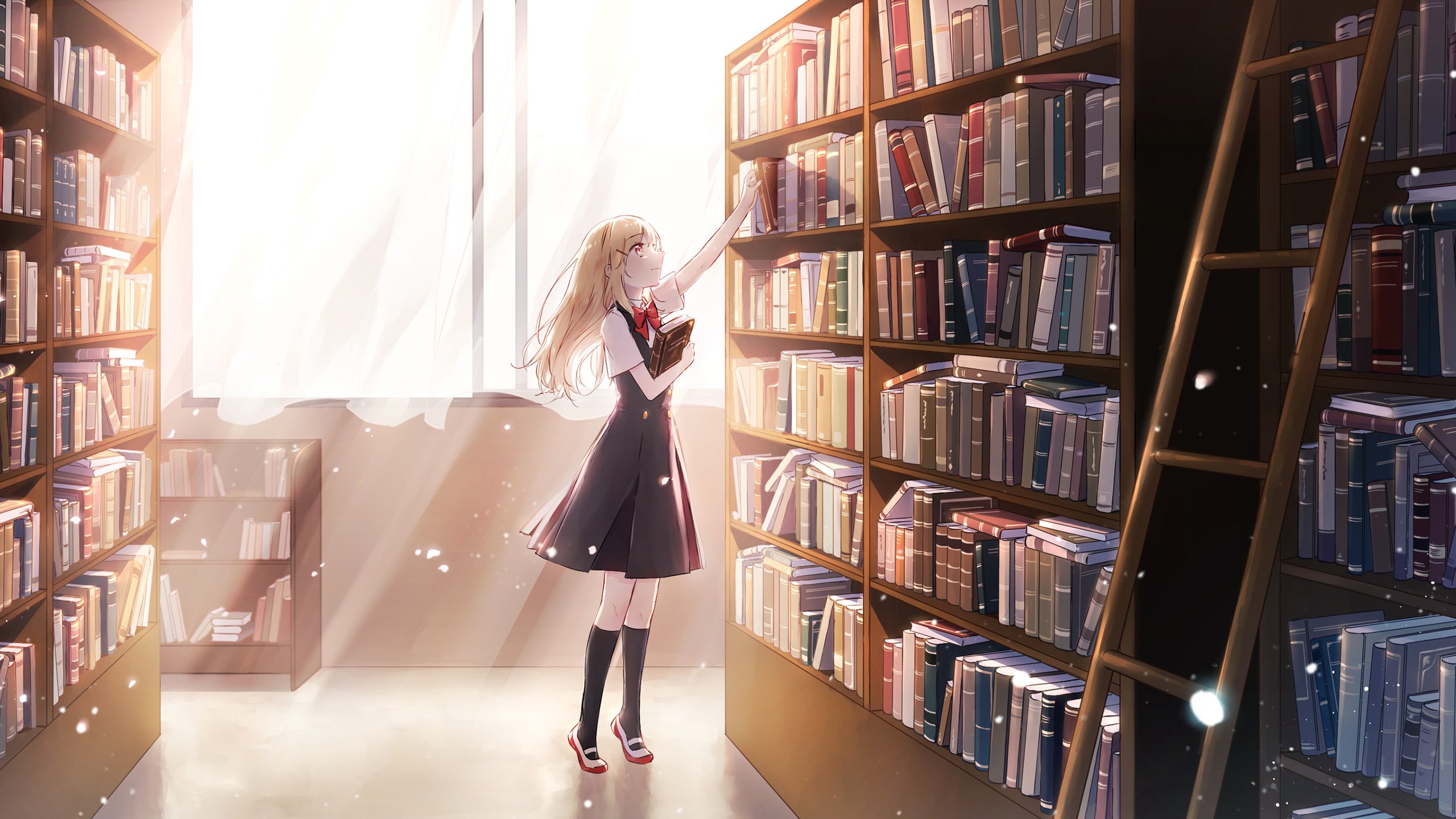 阳光 图书馆 楼梯 知识的殿堂