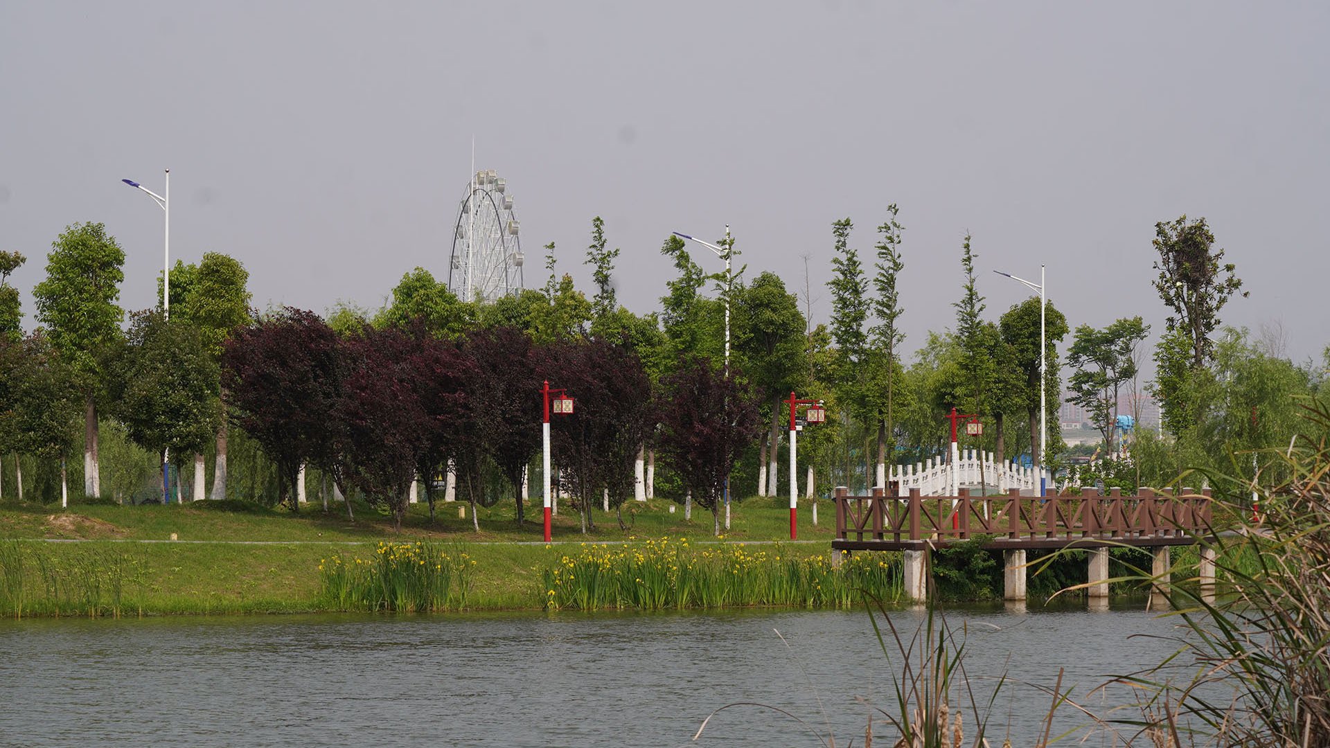 乐乡学苑 稻谷溪 路灯