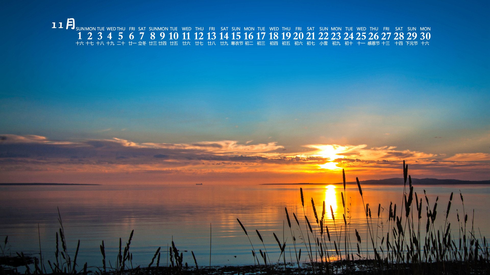 月历 日历 2020年11月