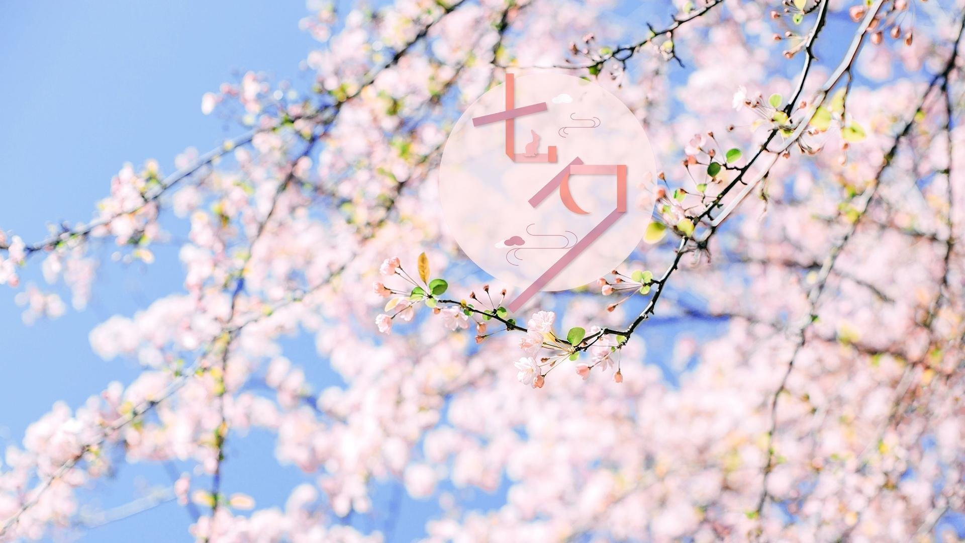 七夕 爱情 情侣 美好