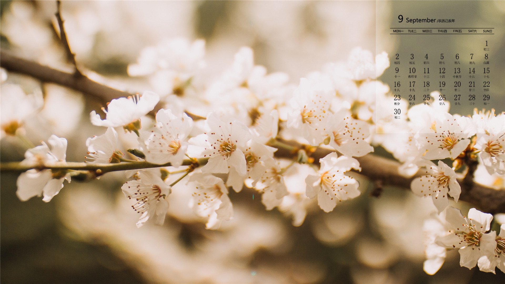 月历壁纸 九月 2019年9月 日历