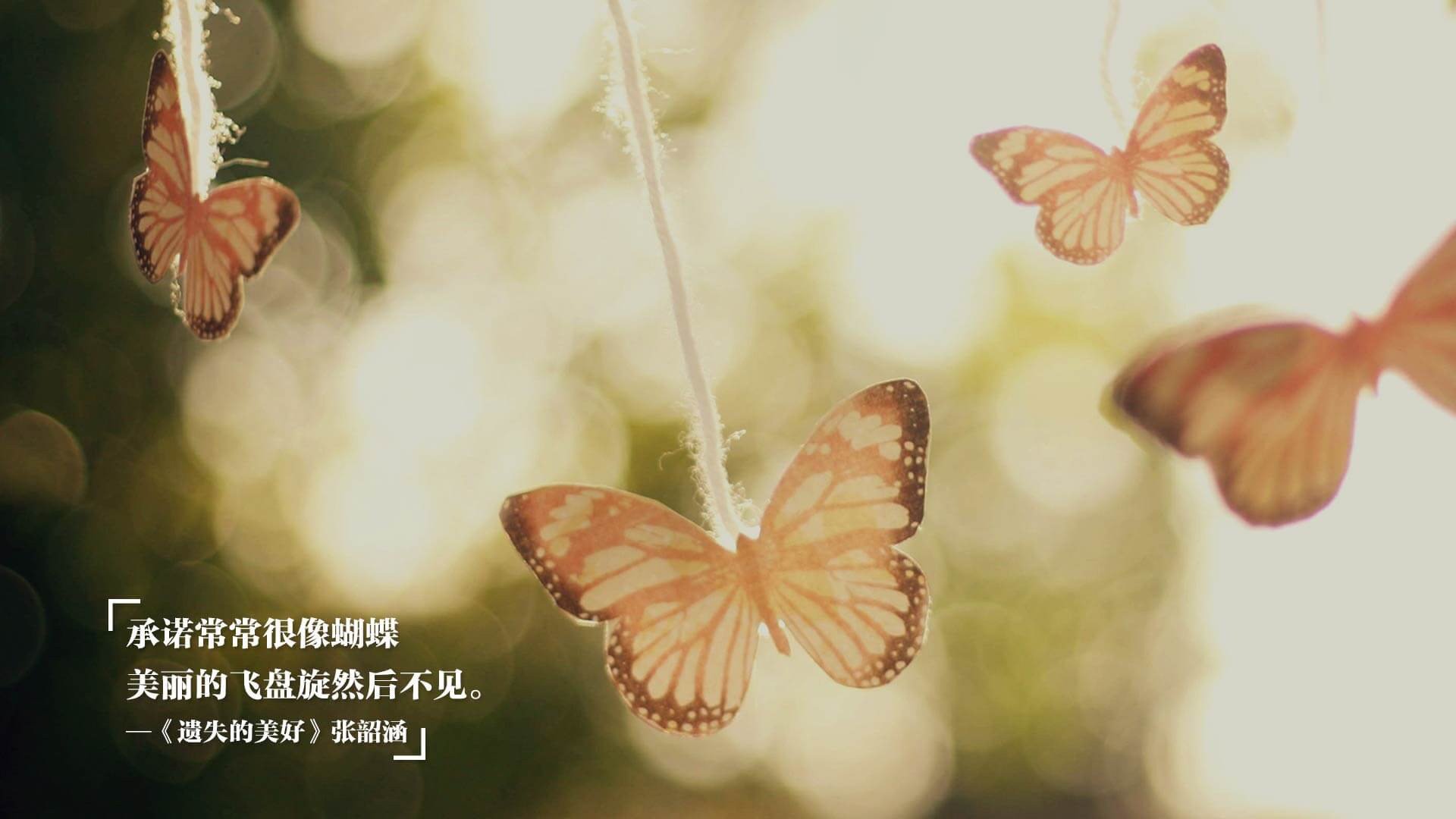 遗失的美好 小清新