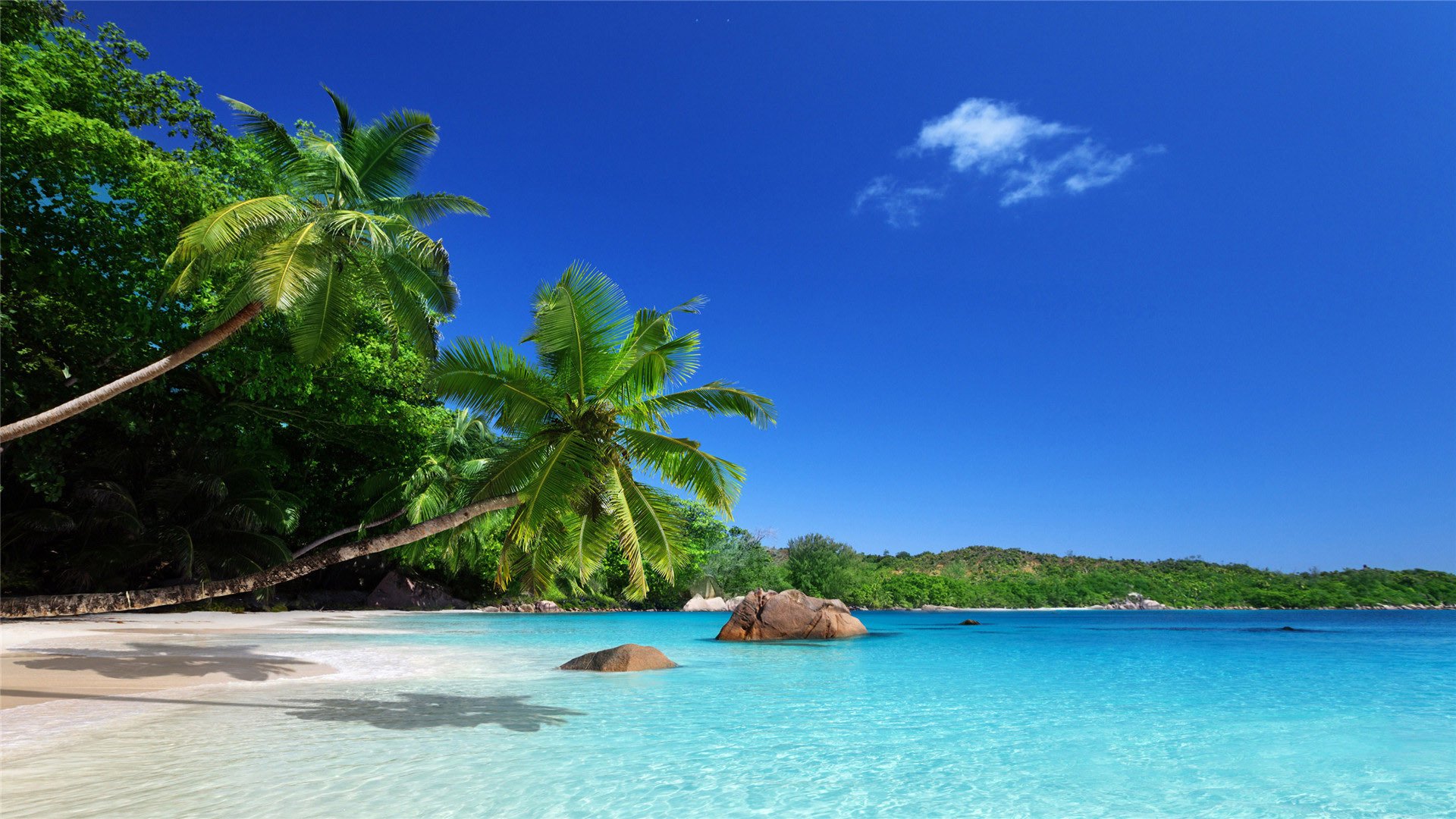 海洋天堂 椰树 海滩 白沙滩 蓝天