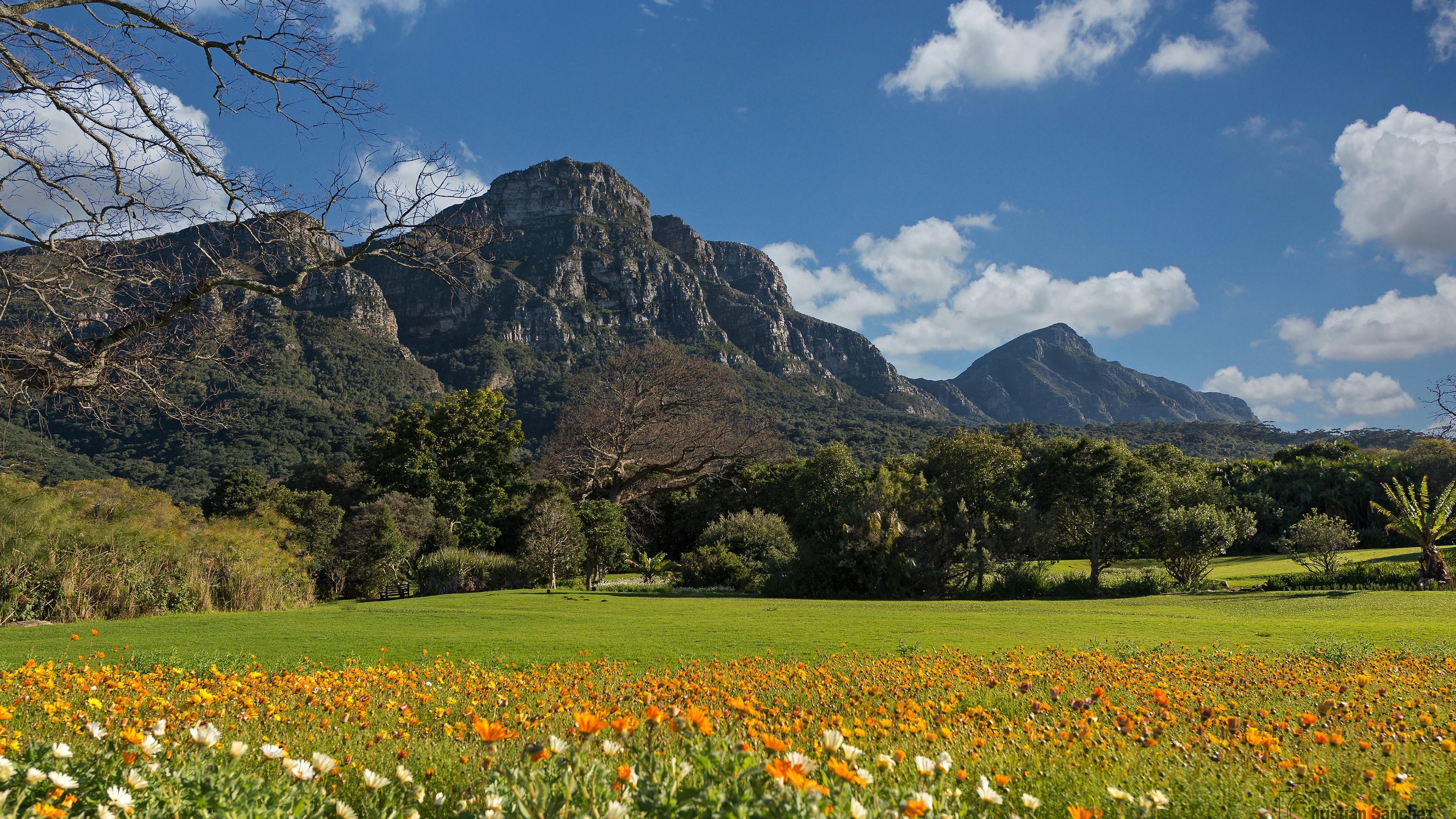自然风光 花海 草原 美丽天空