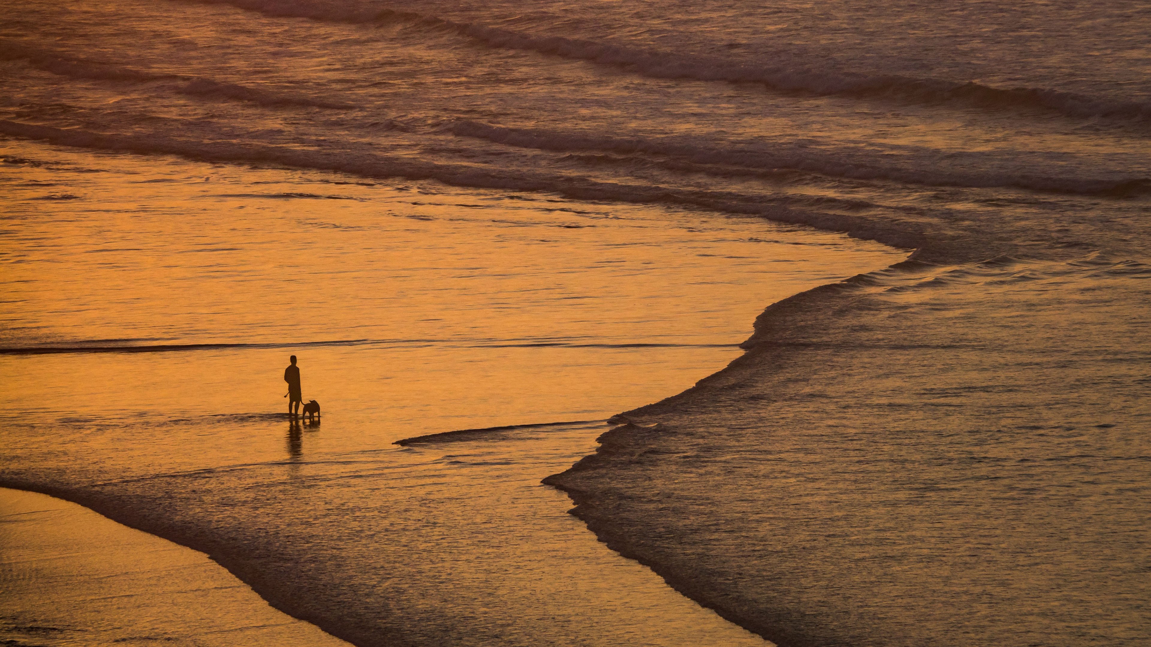 黄昏海滩 人与狗 海浪