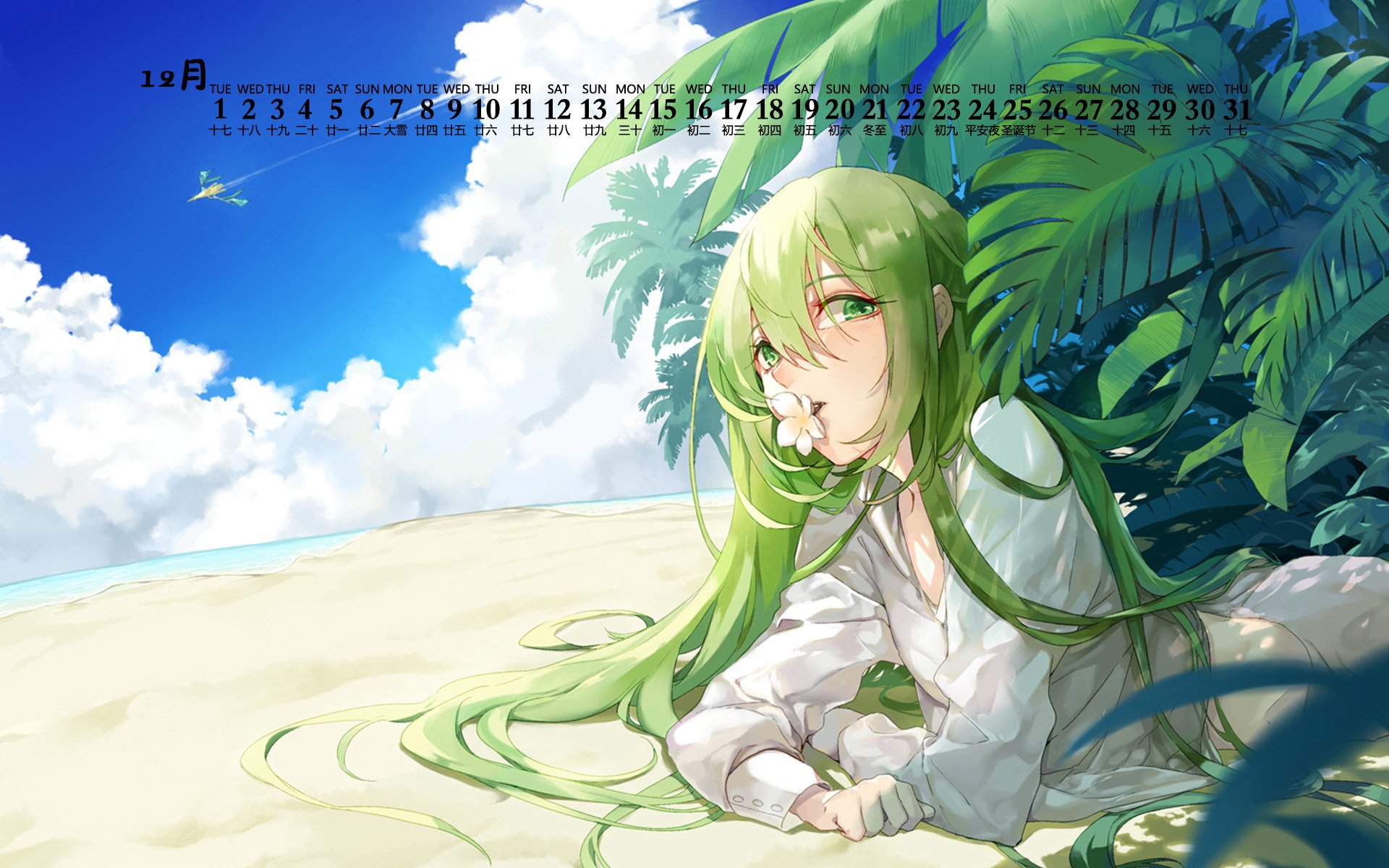 2020年12月 海滩 花朵 二次元 树丛