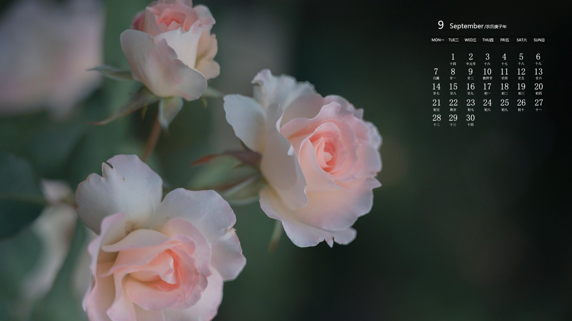 月历 日历 2020年8月