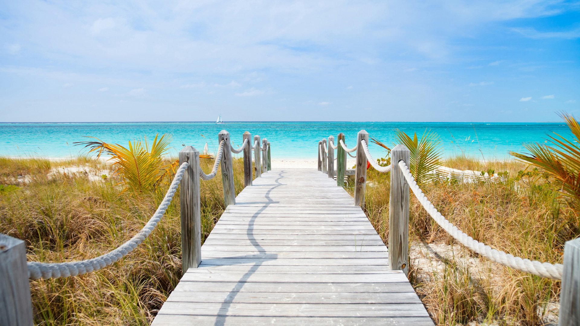 炎炎夏日  风景海边  木栈道  蓝色海洋