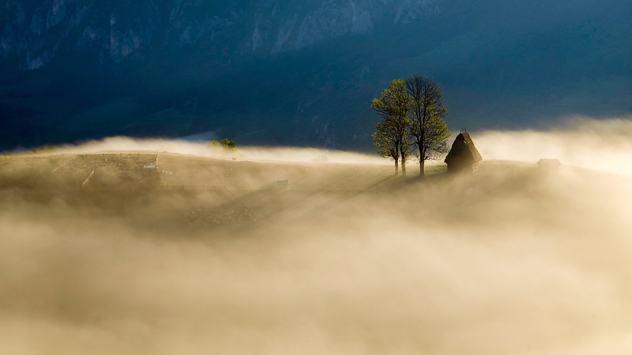 奇幻梦境 雾 清晨 山林