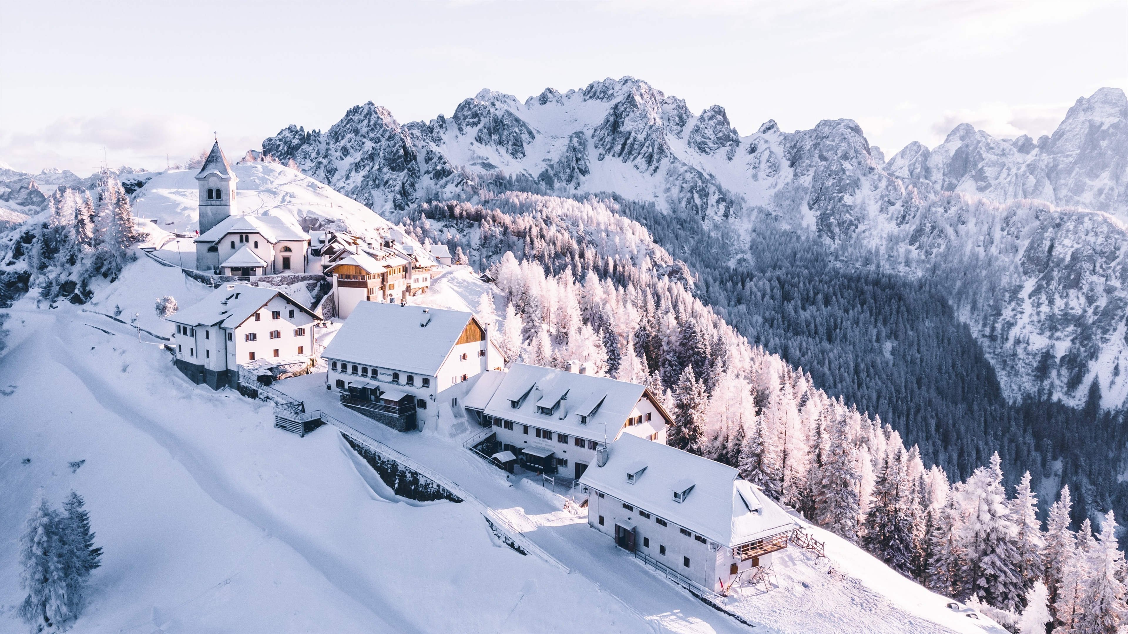冰天雪地 雪山 树林 阿尔卑斯