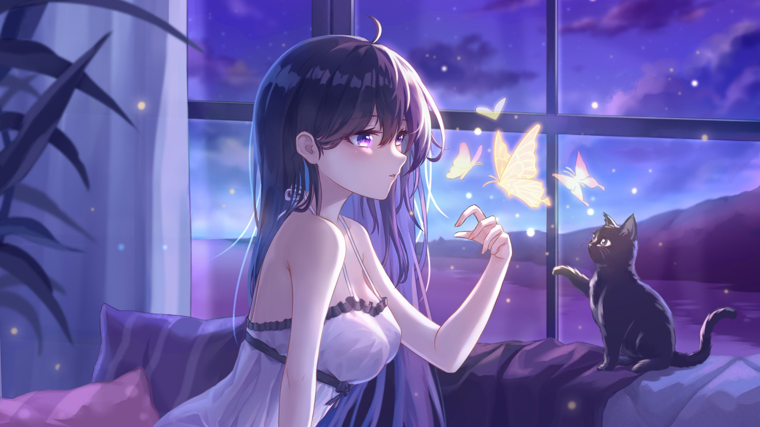 二次元 黑猫 蝴蝶 窗户 女孩