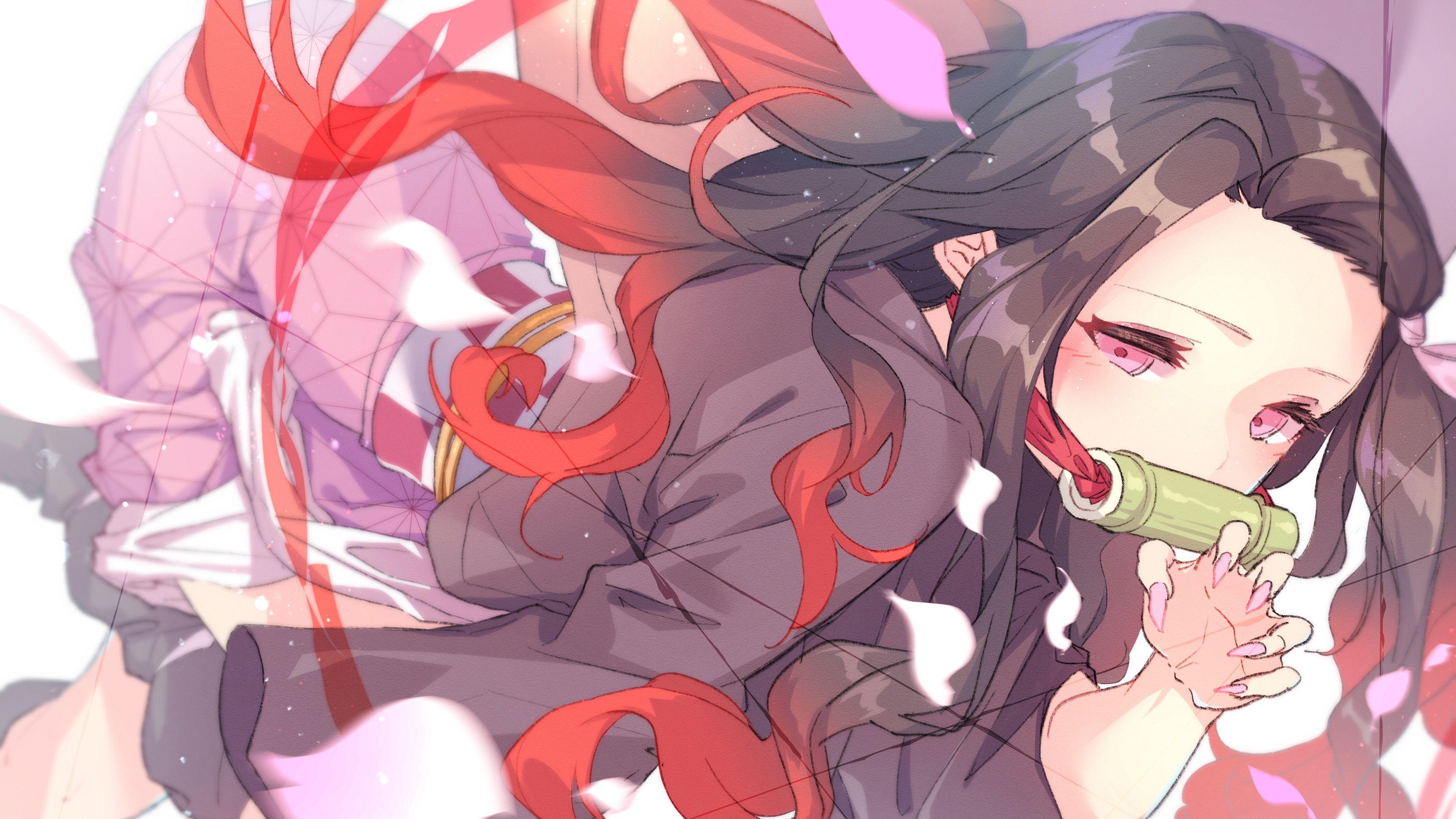 卡通人物 鬼灭之刃 祢豆子