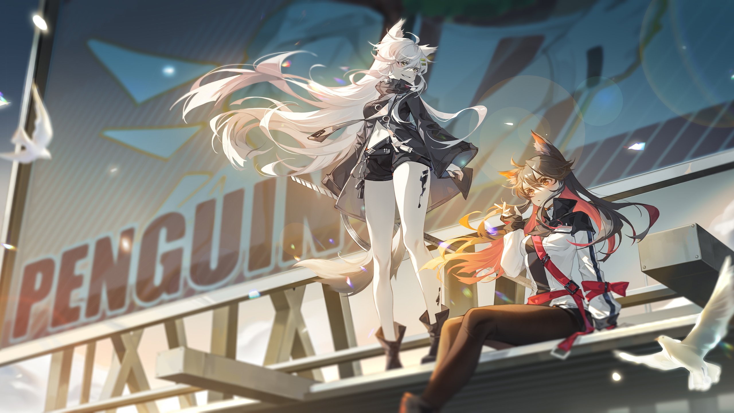 白鸽 长发飘飘 兽耳