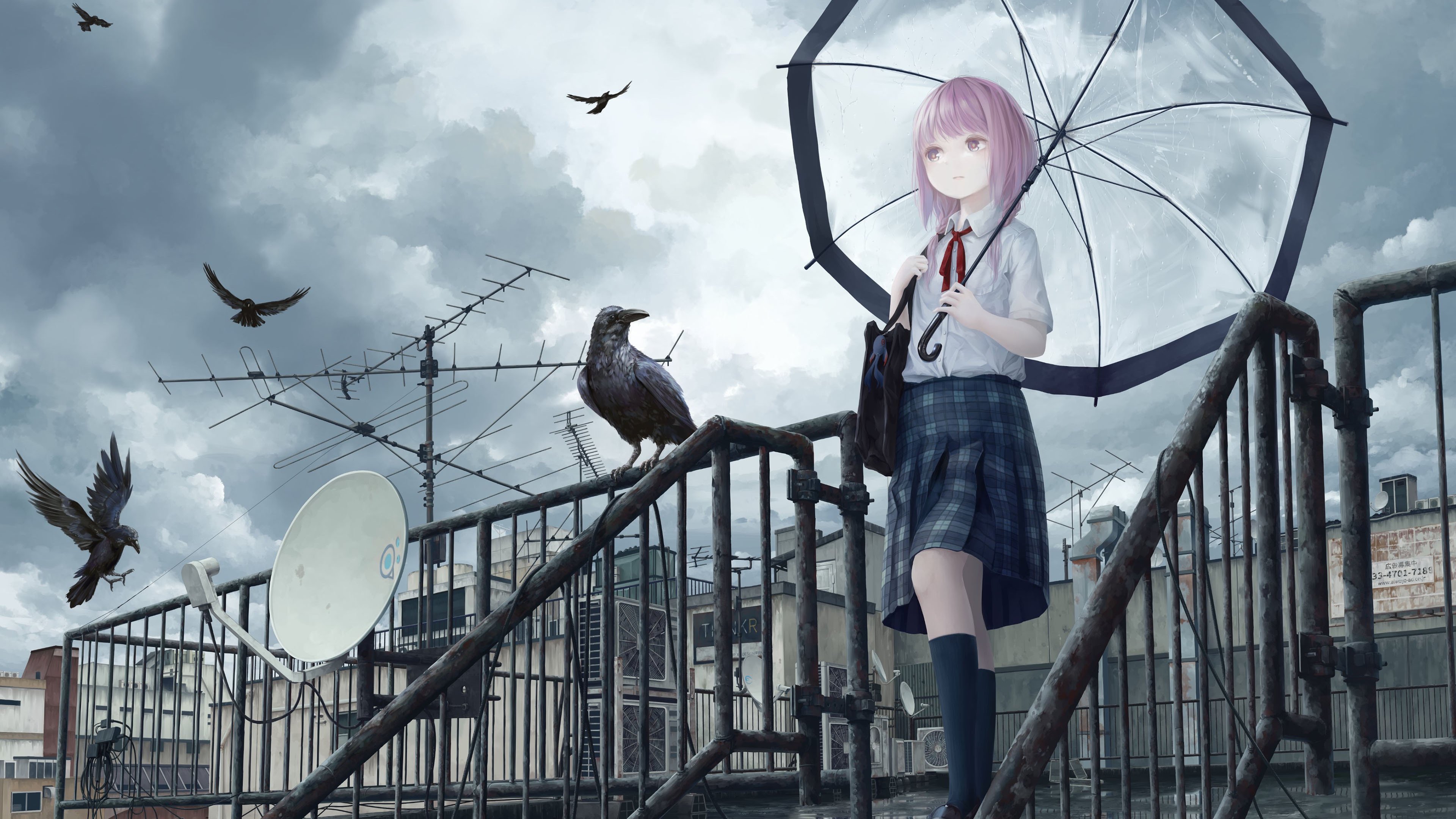 雨伞 乌鸦 屋顶 下雨天