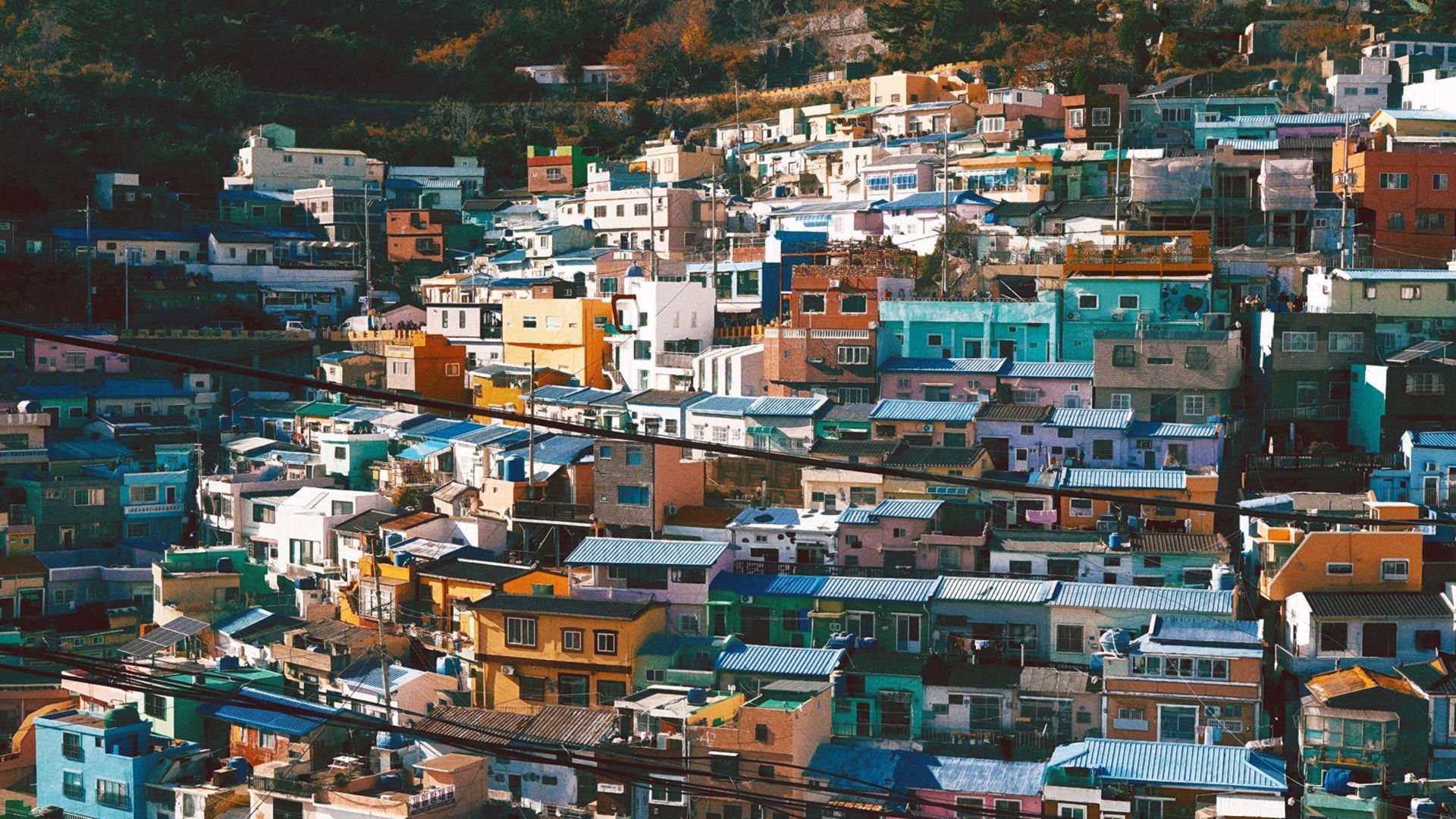 建筑群落 山坡 小镇 密集