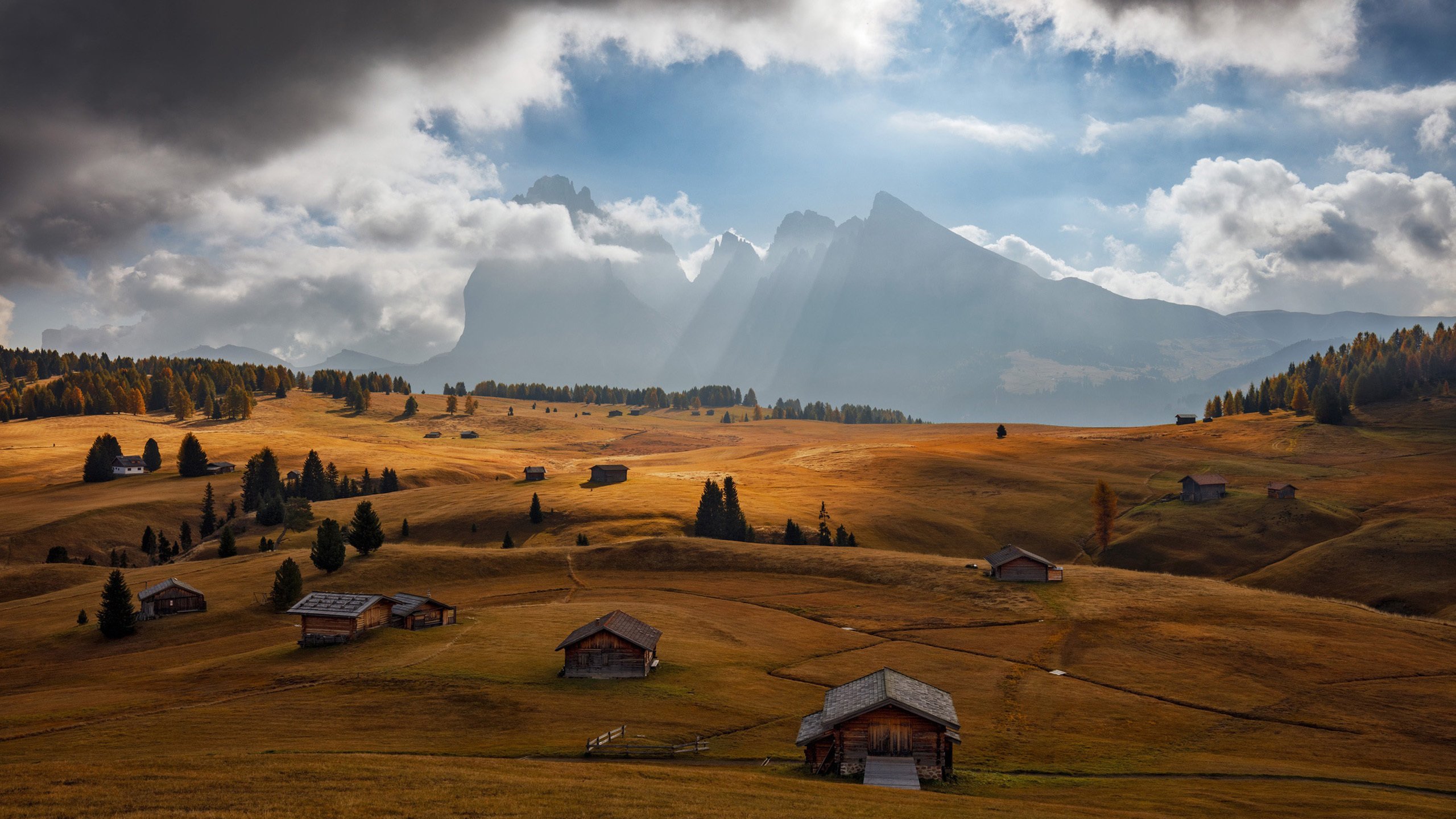 秋意正浓 原野 小木屋 阳光