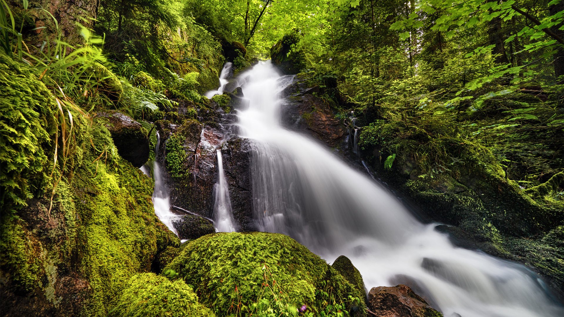 炎炎夏日 瀑布 清凉 青苔 山涧
