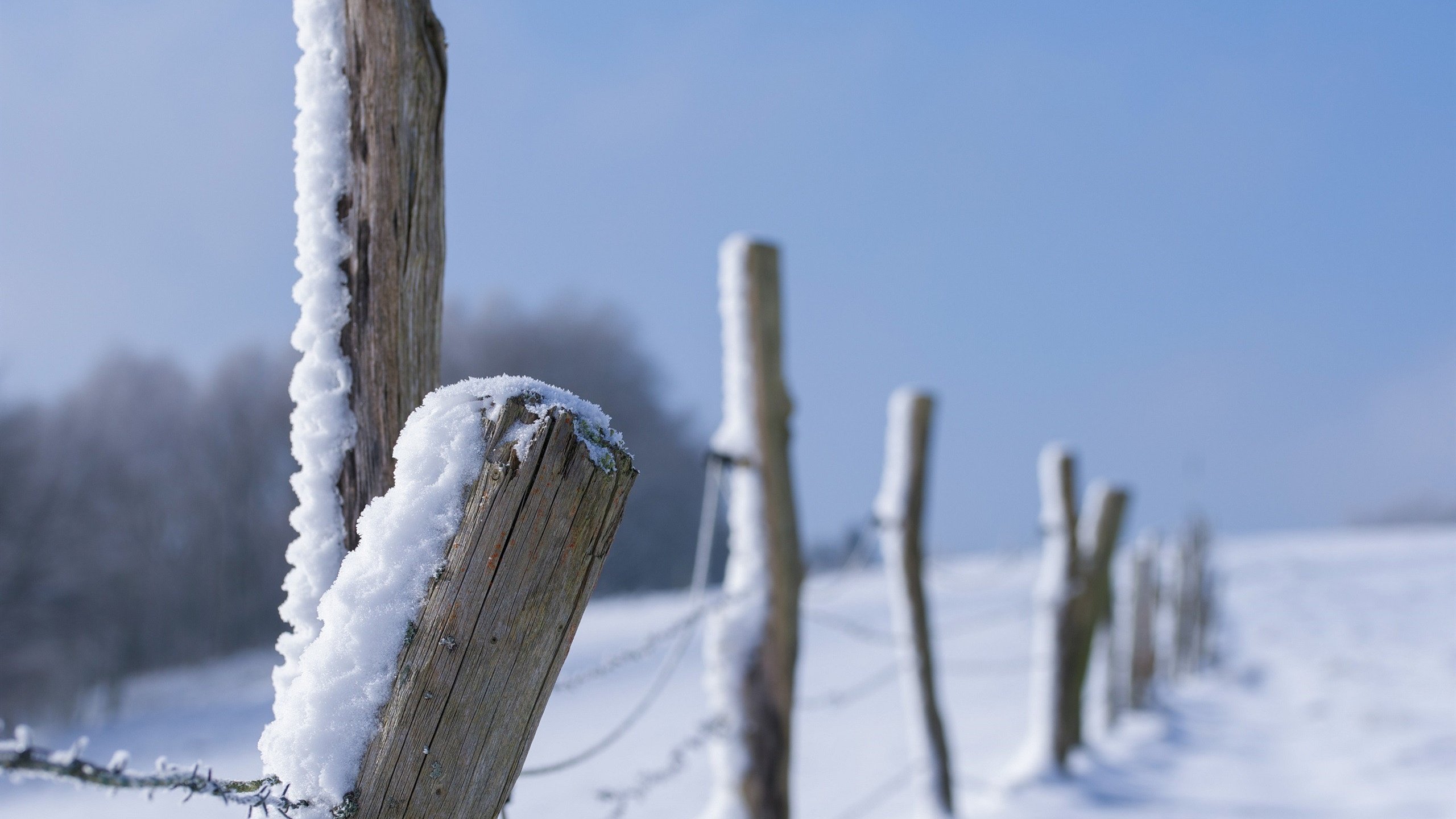 冰天雪地 栅栏