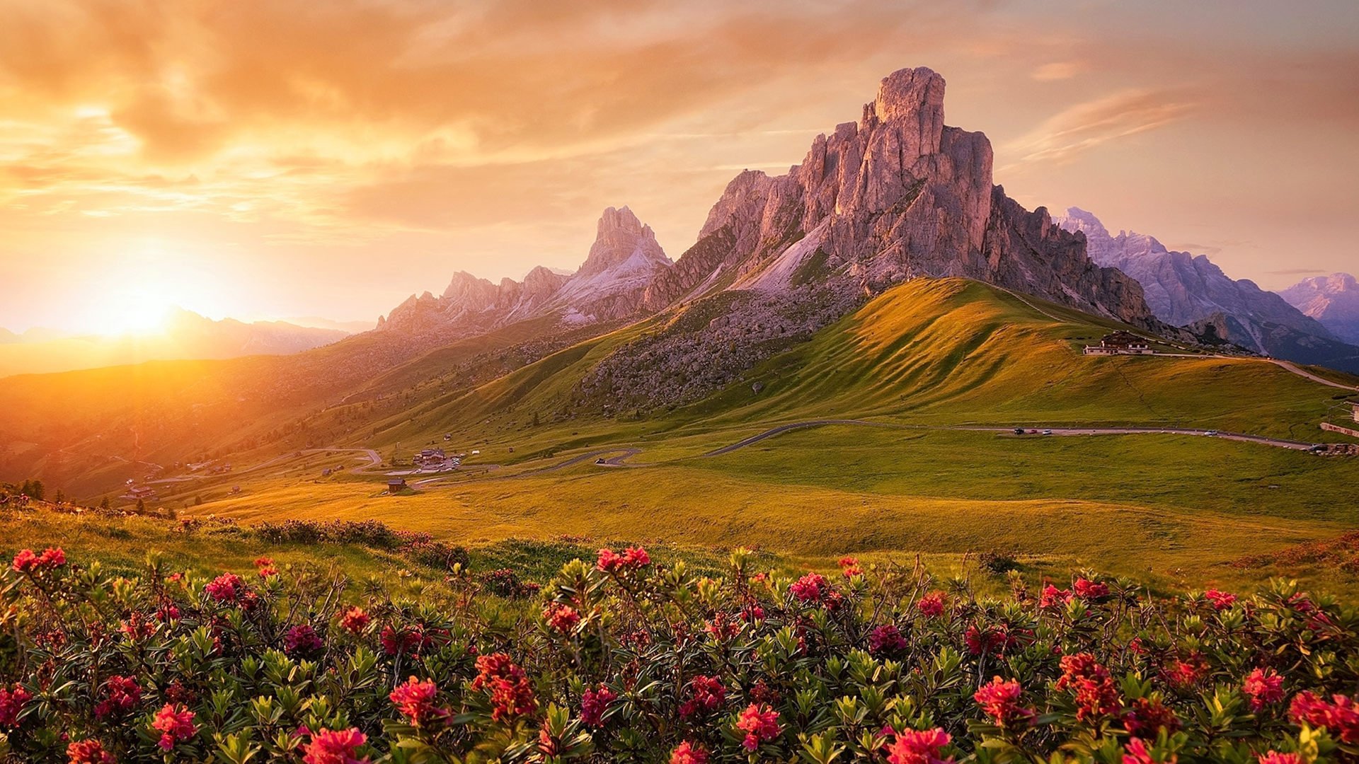 奇幻梦境 高山 花丛 日出