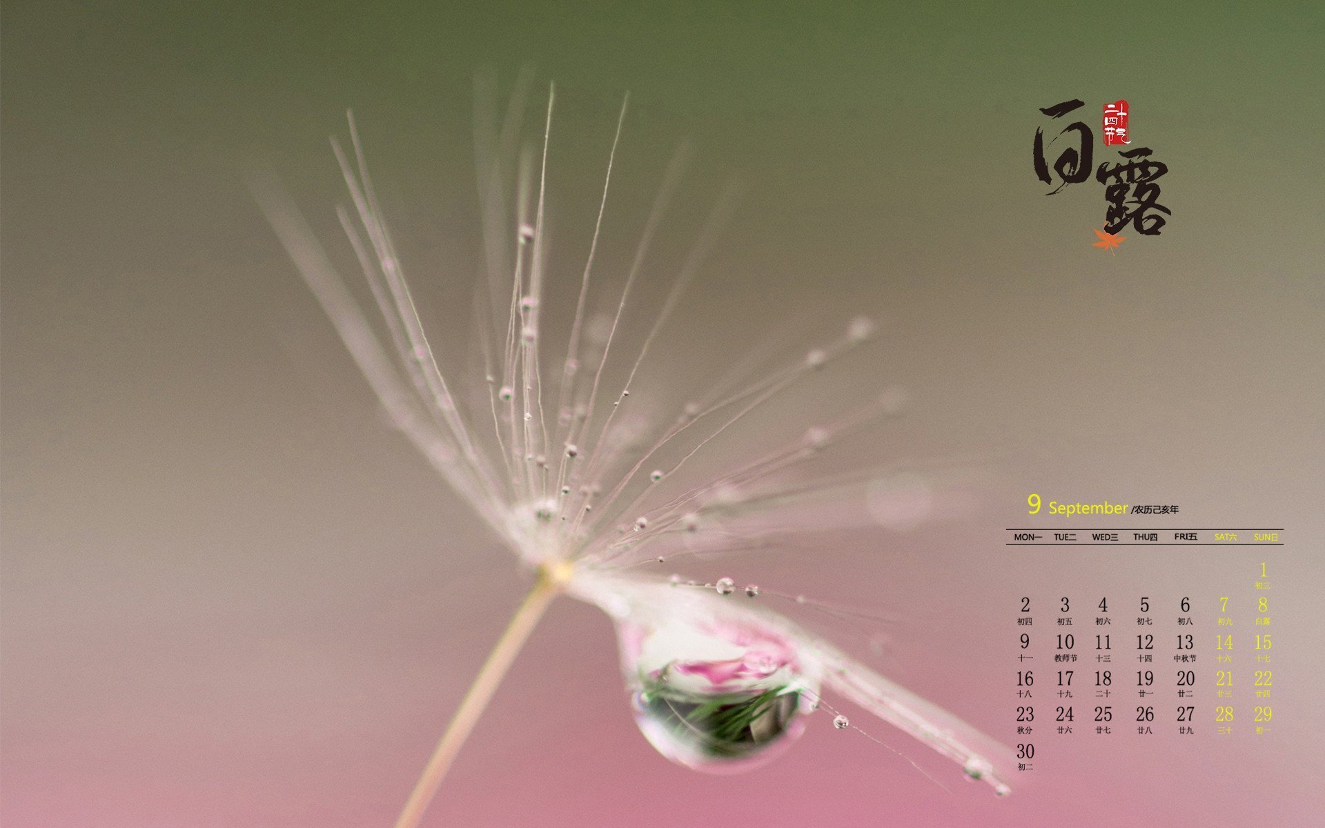 月历壁纸 九月 2019年9月 白露 日历