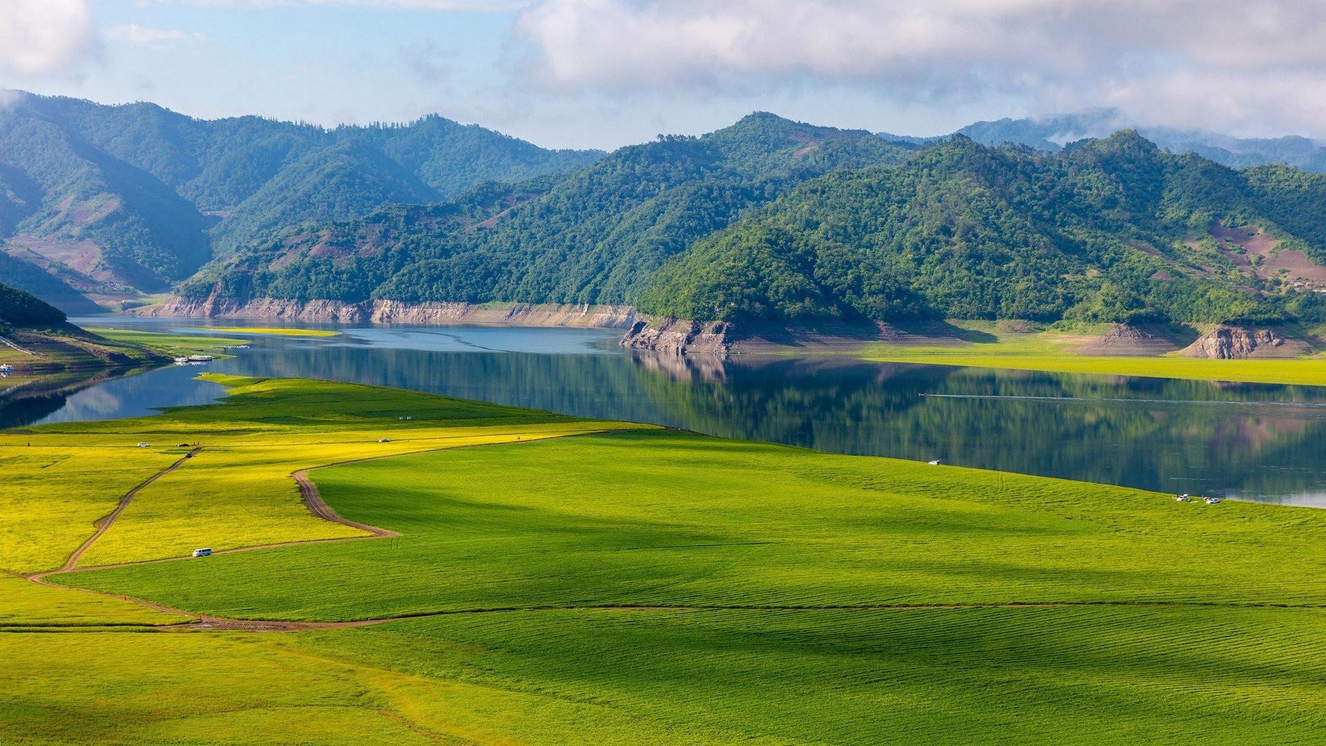 自然风光  辽宁 绿江村  稻田  清新迷人