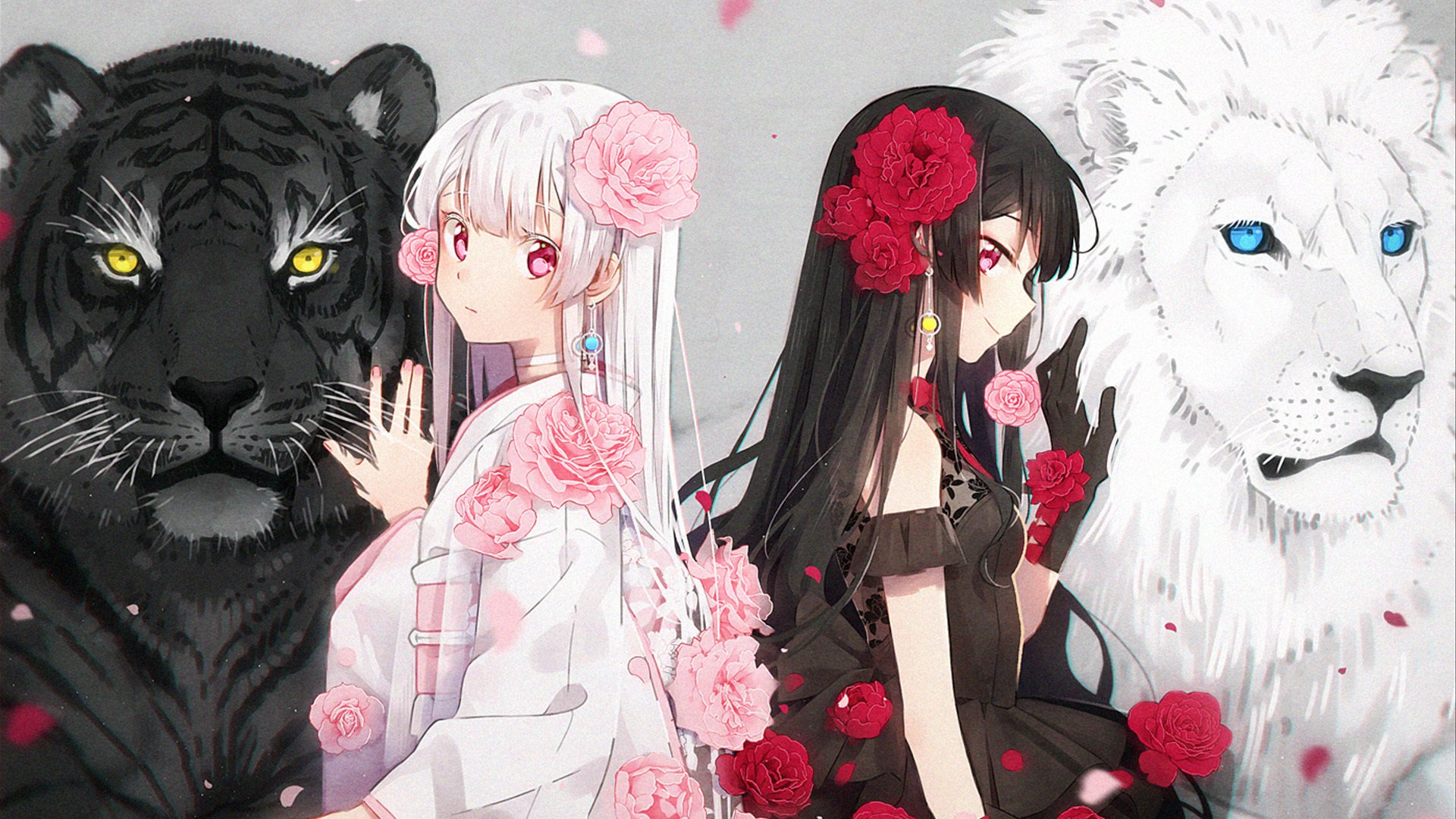 红玫瑰 白玫瑰 白狮子 黑老虎