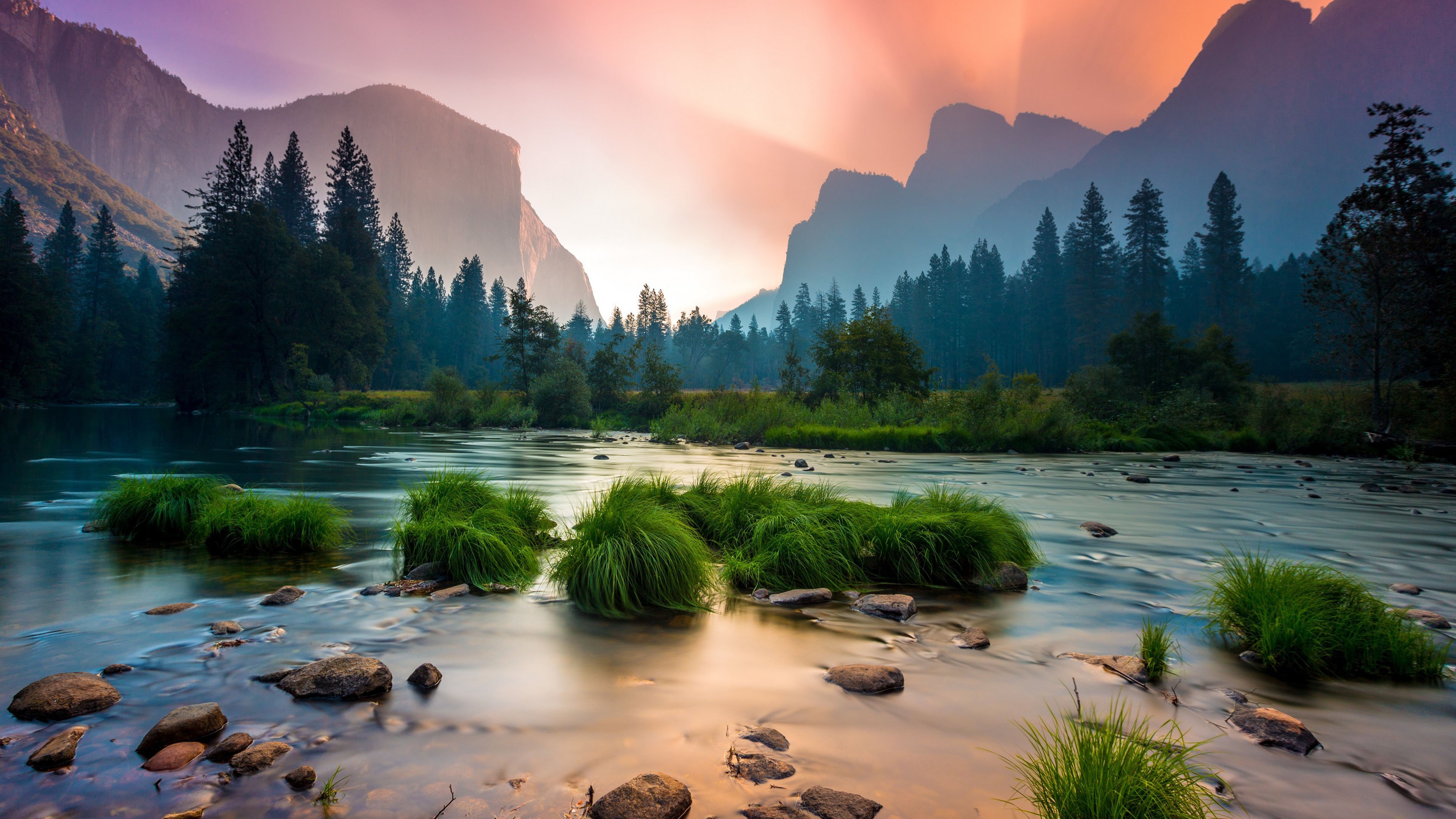 自然风光 树林 河滩 草丛