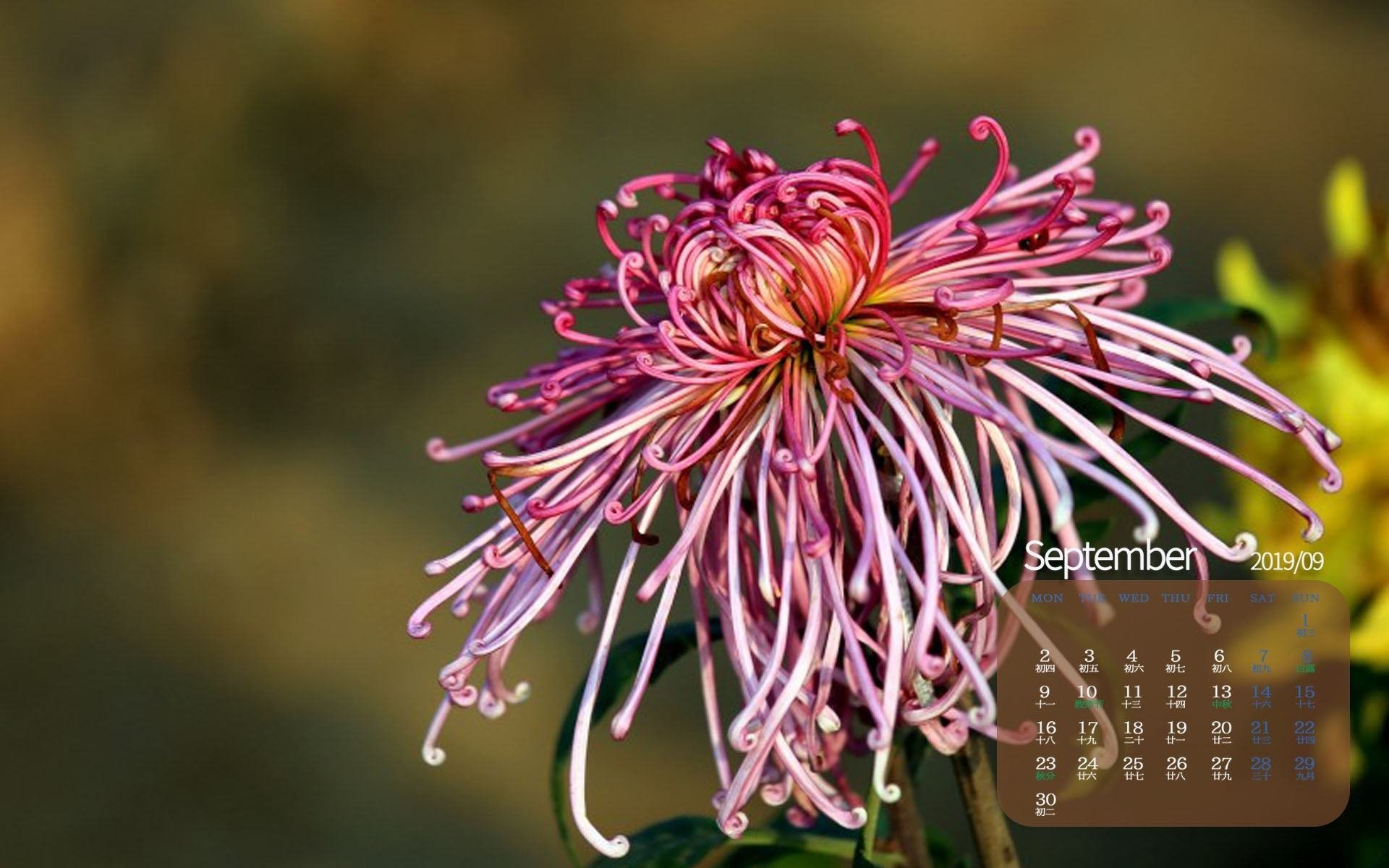 月历壁纸 九月 2019年9月 日历