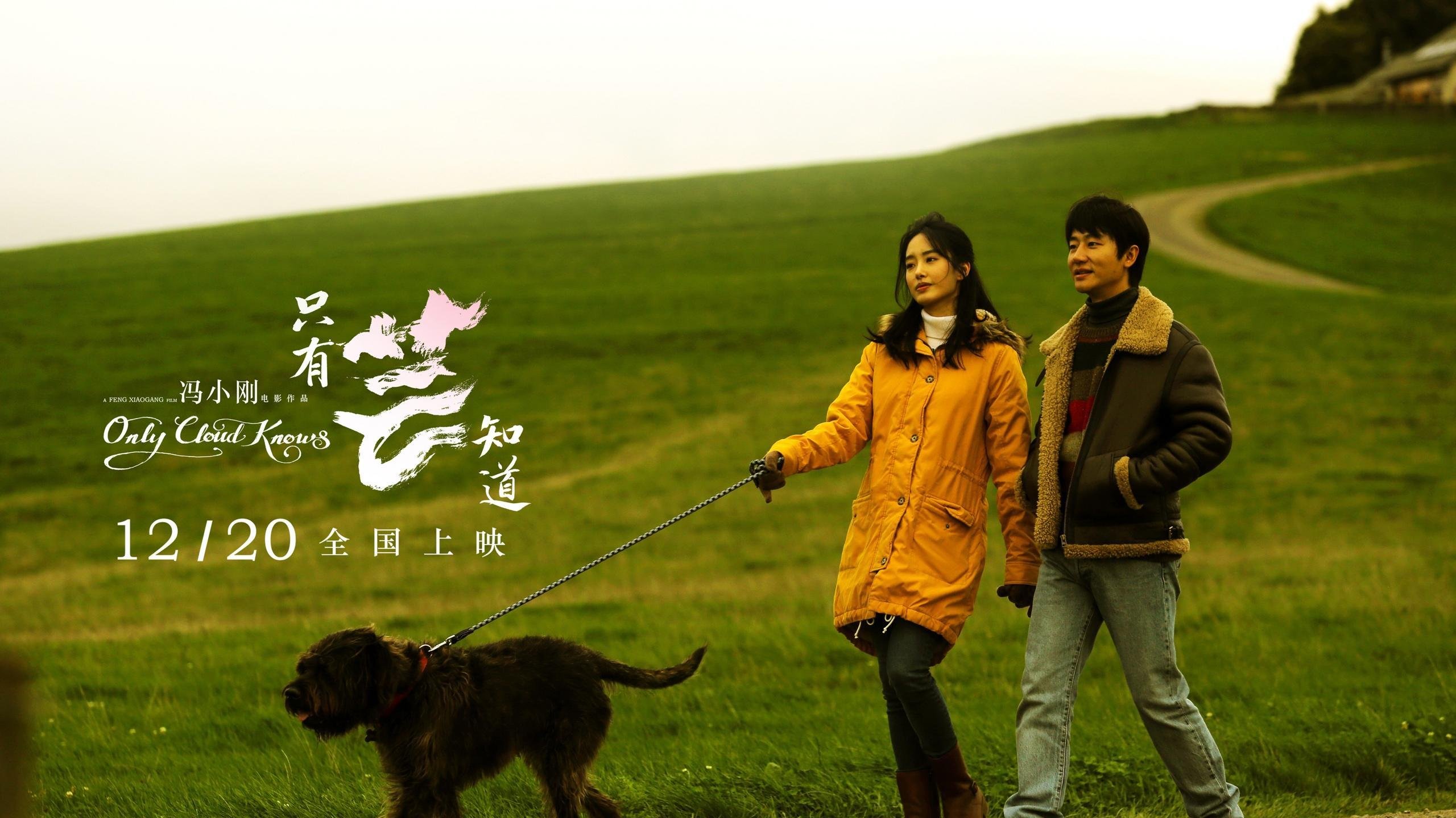 只有芸知道 黄轩 杨采钰