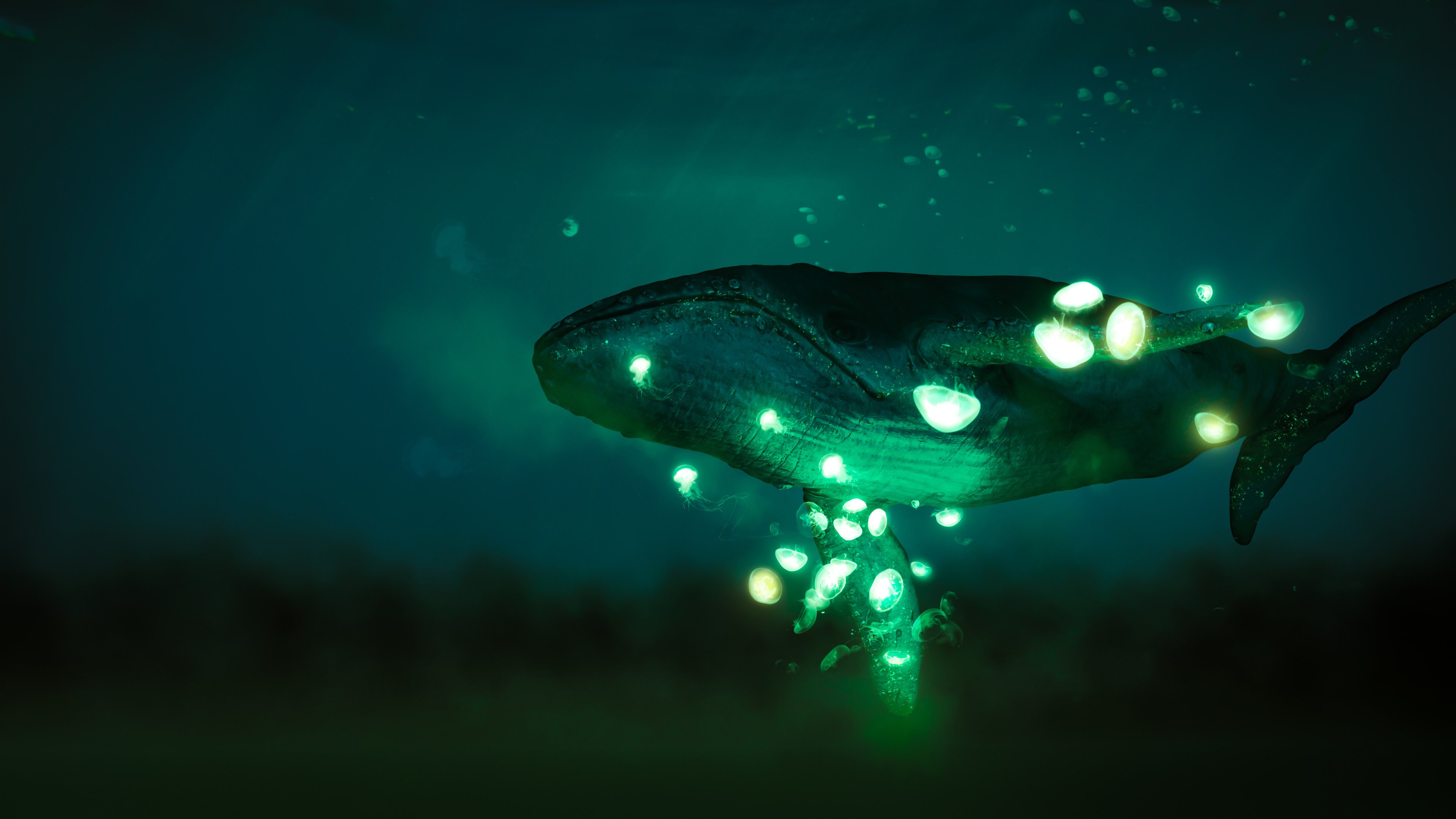 鲸鱼 萤火虫 童话