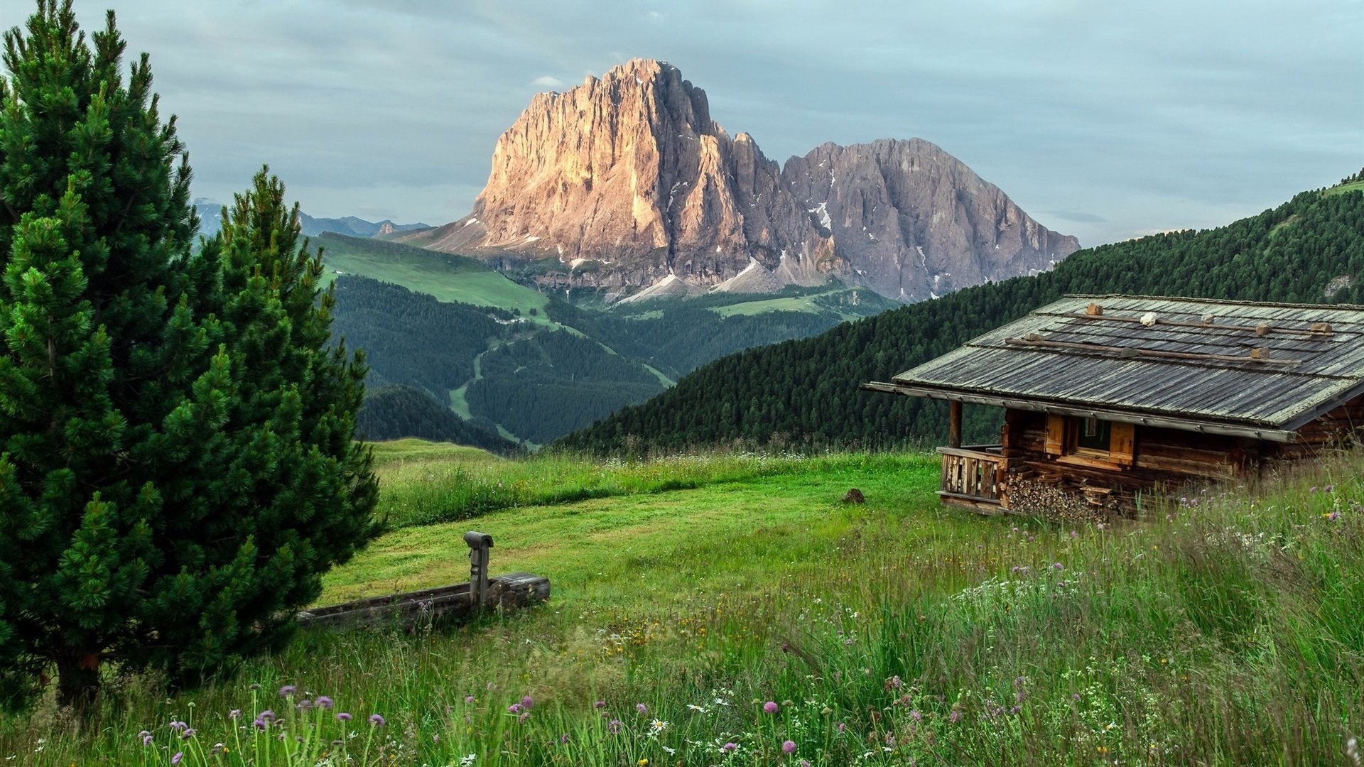 自然风光 山峰 青草