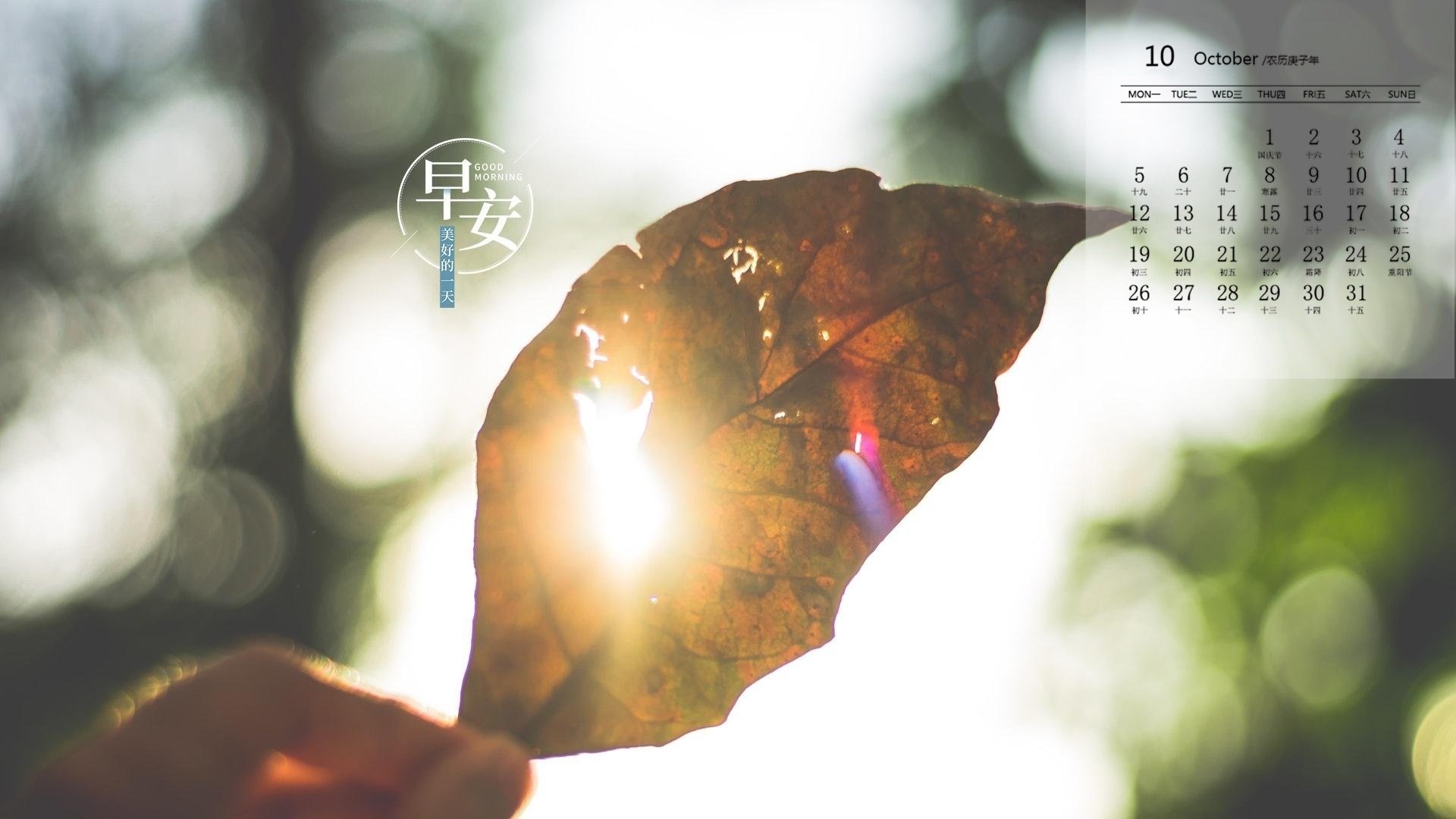 月历 日历 2020年10月