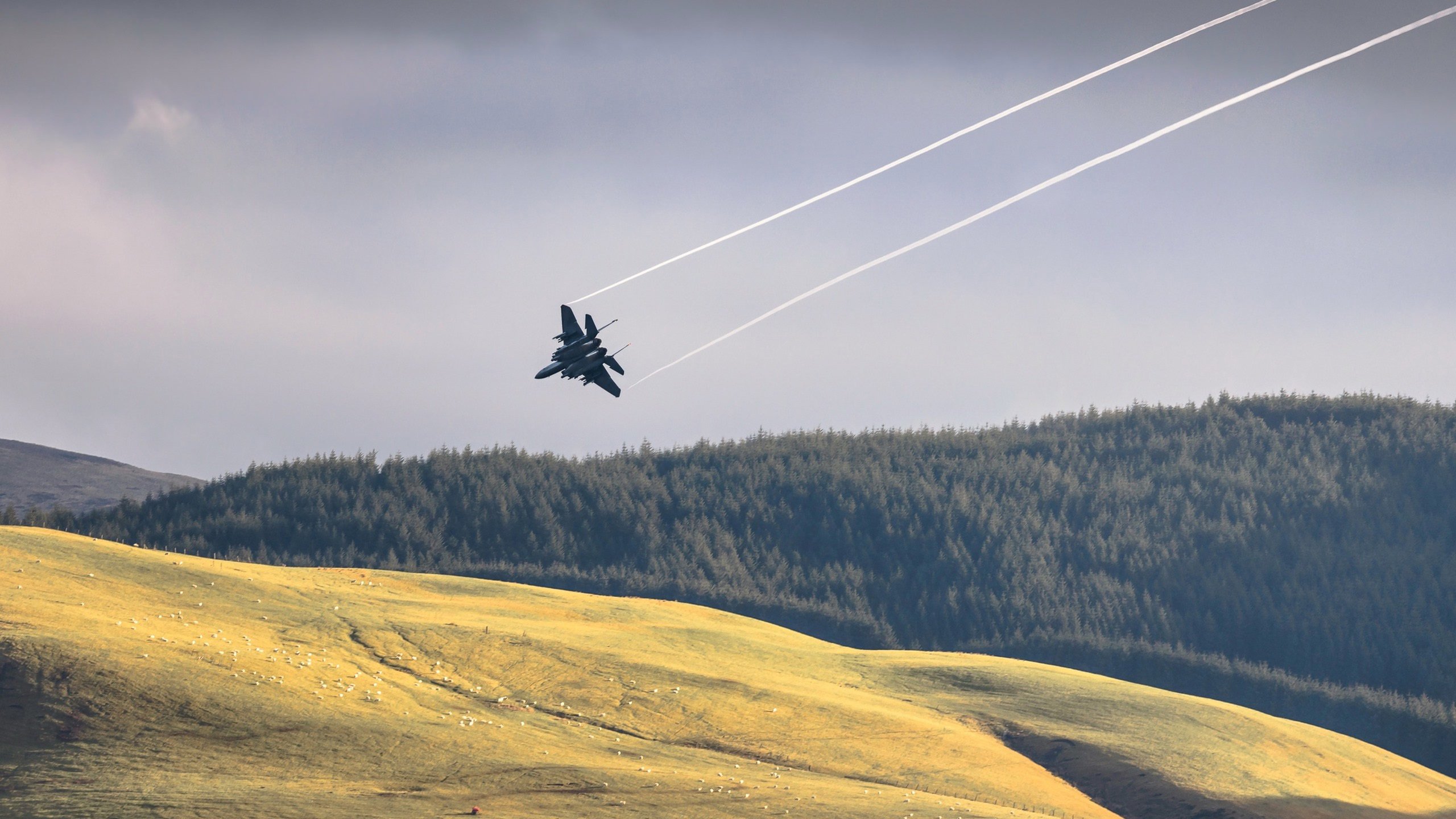 战斗机 飞行 喷气飞机