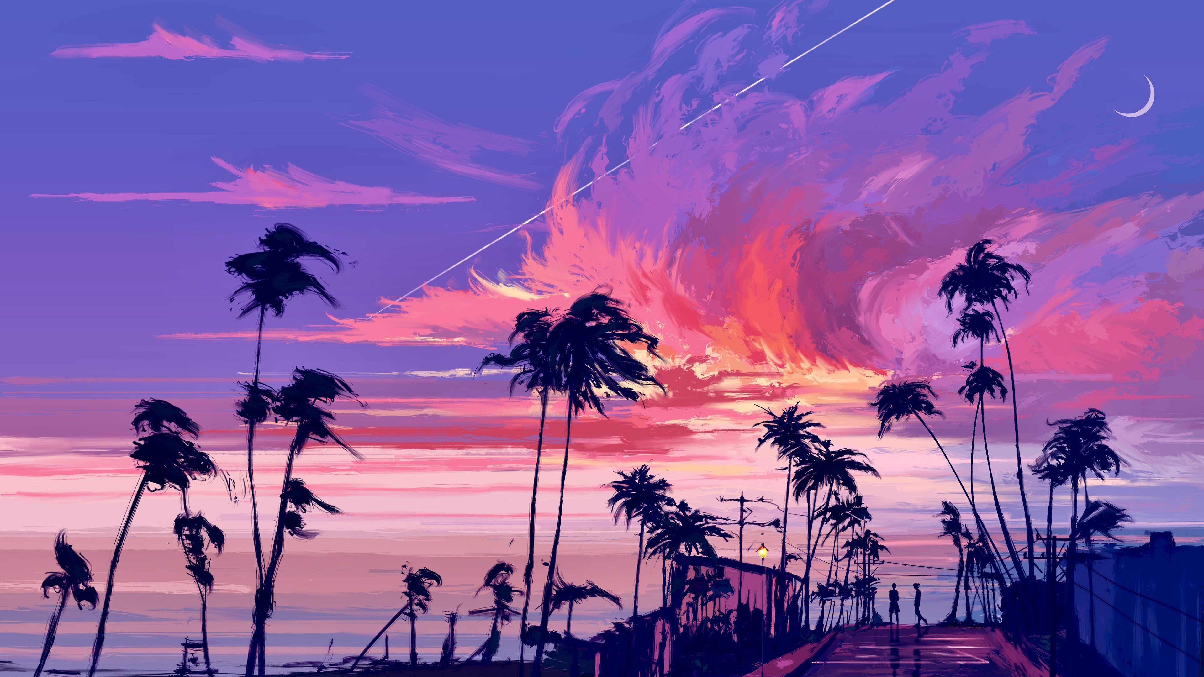 下玄月 椰树 海天 晚霞 红霞