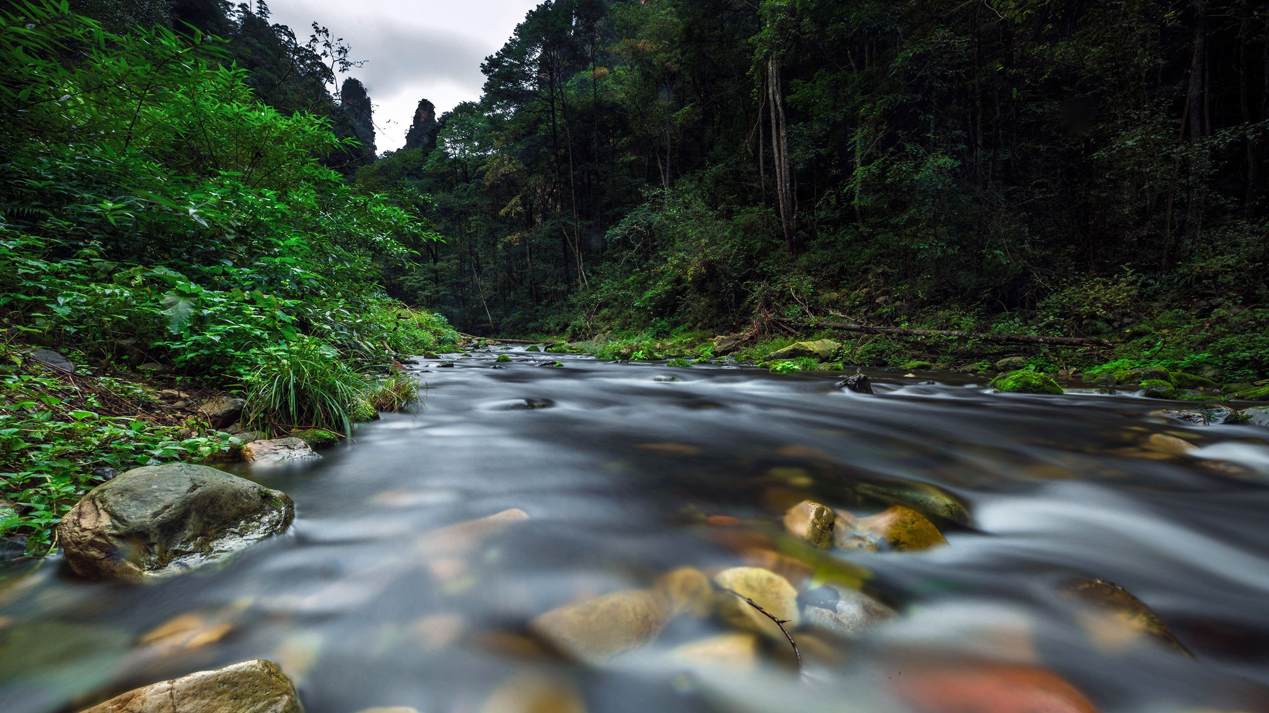 自然风光 山谷 山间河流 清溪