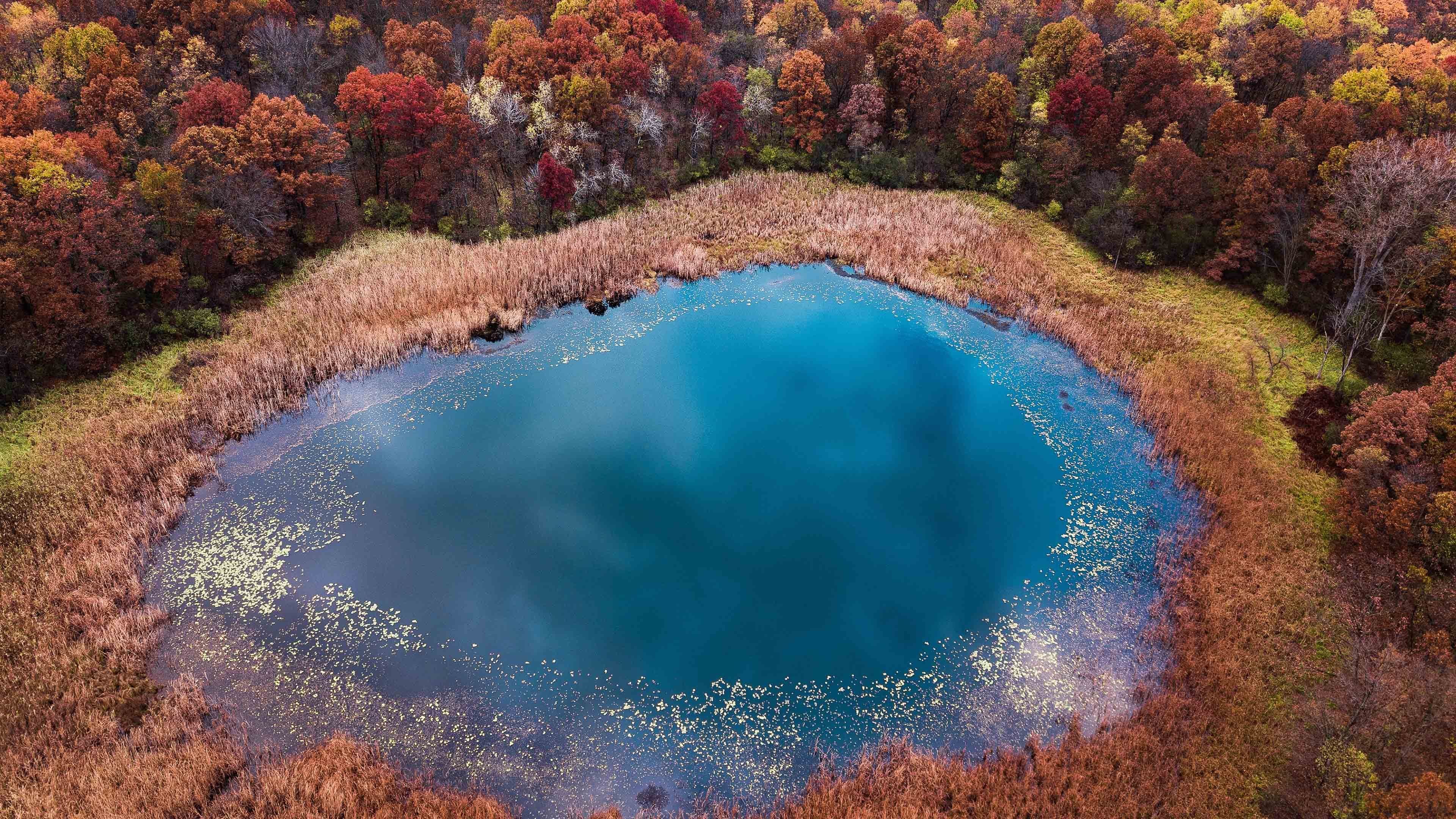 秋意正浓 树林 碧蓝湖水