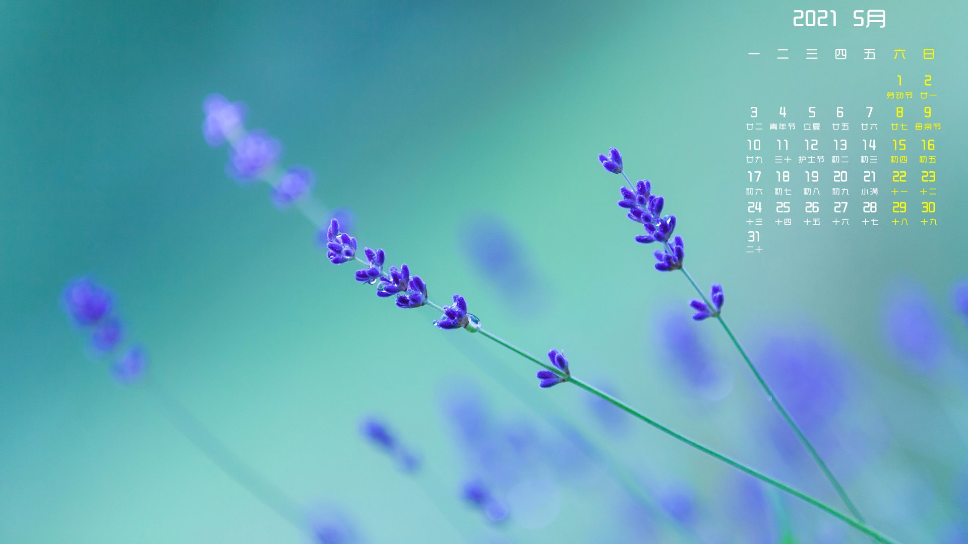 月历壁纸  5月