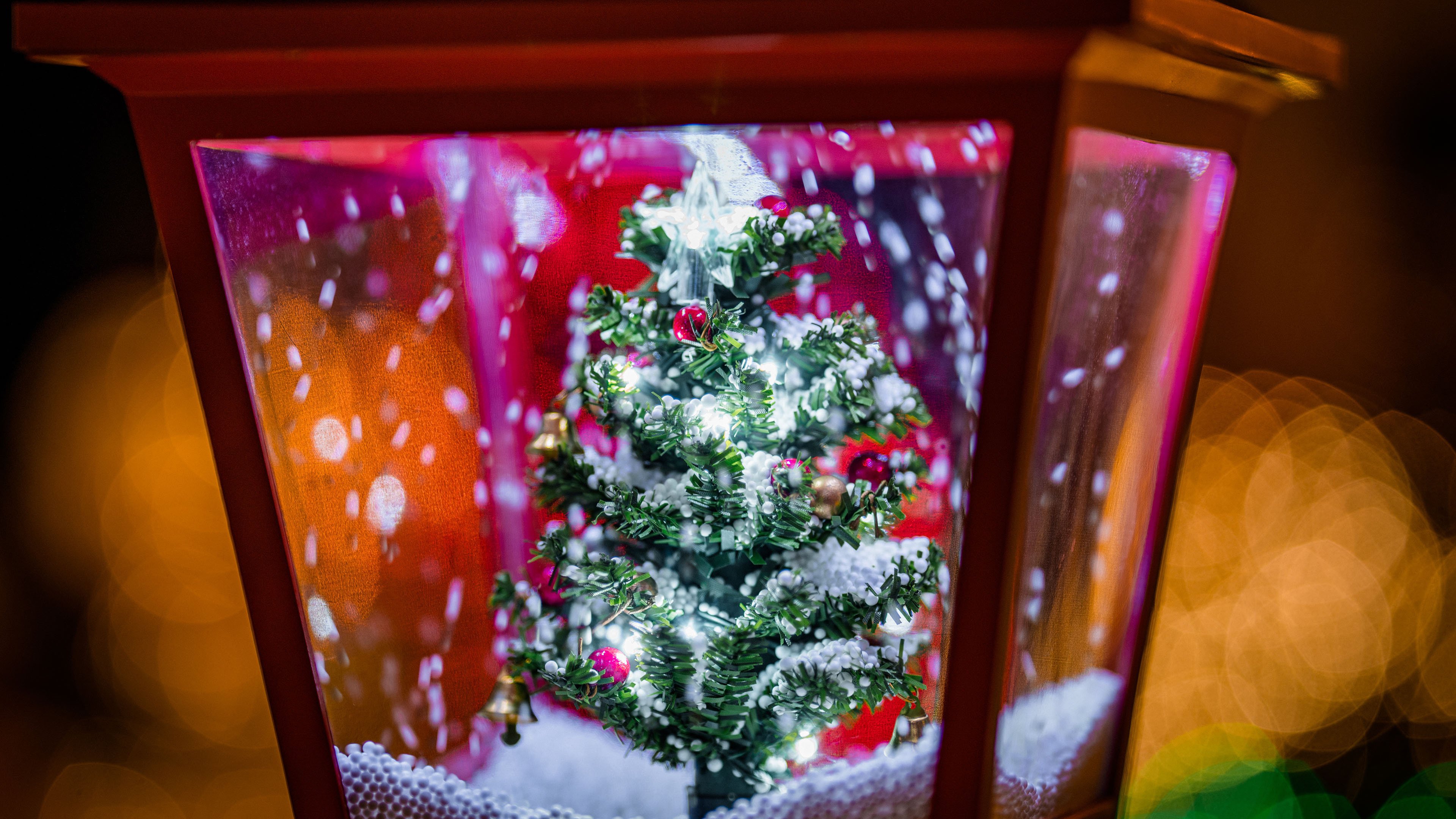 圣诞节 圣诞树 橱窗 温馨