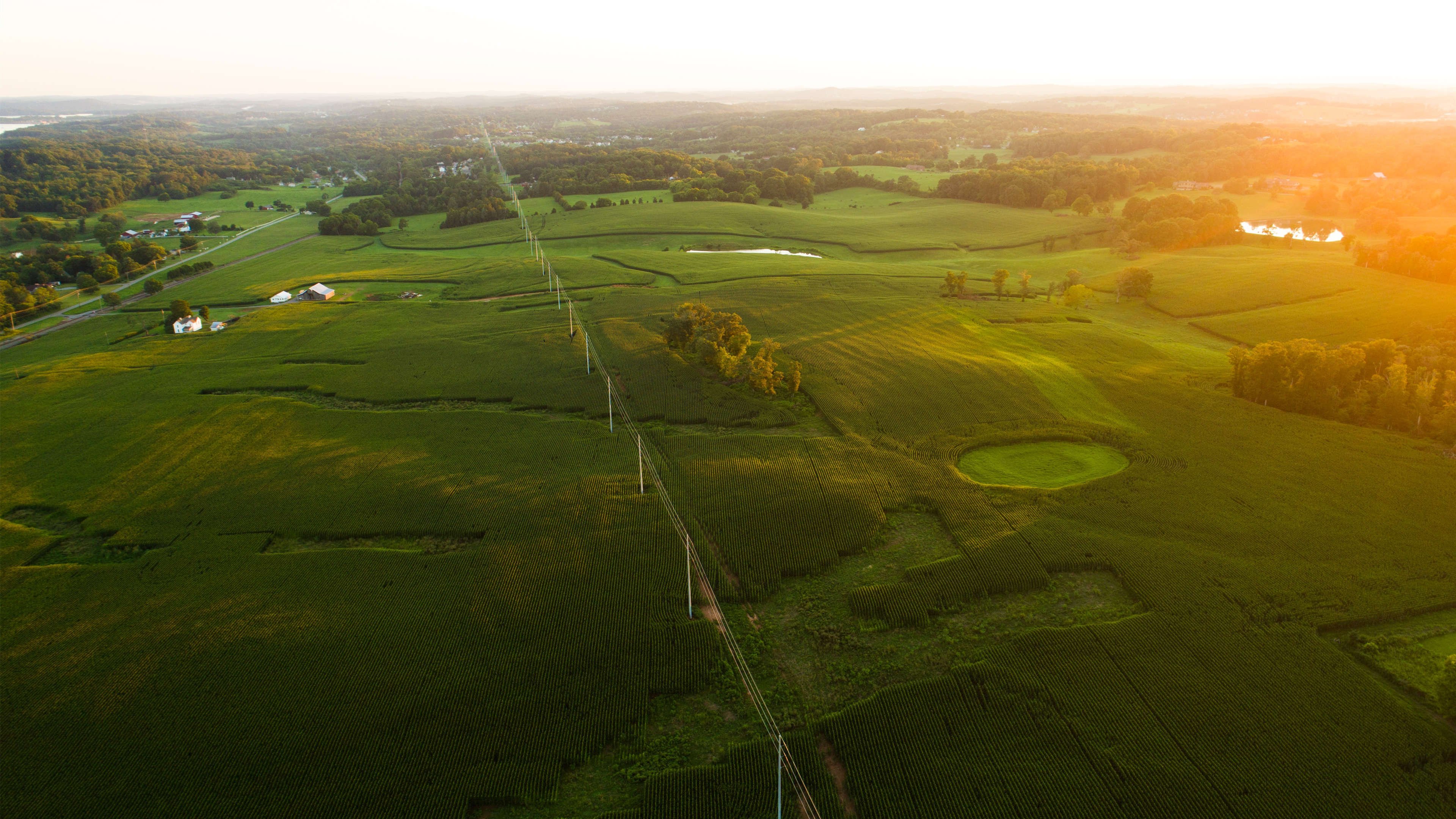自然风光 航拍 草原 日出